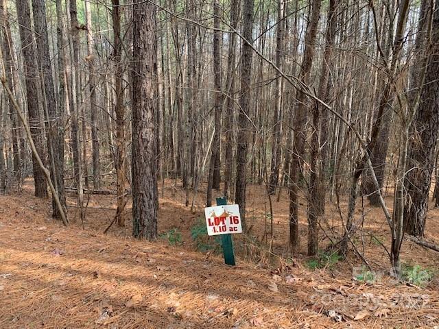 Deer Run at Lake Lure - Land