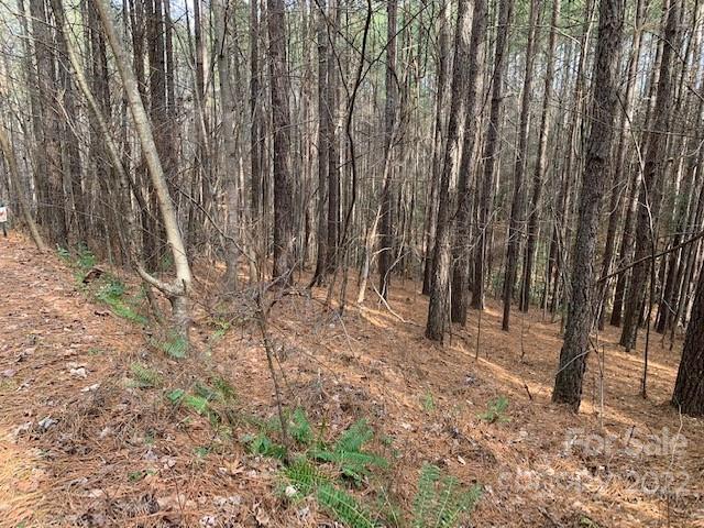 Deer Run at Lake Lure - Land