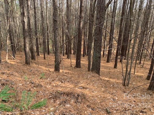 This listing is for a 1.10 acre building lot located in Deer Run Subdivision at Lake Lure. Property is located just four (4) miles from the water's edge of beautiful Lake Lure. Great private location for primary residence or vacation home. There are other lots for sale in this subdivision and adjoining lots can be combined to form a larger property for 1 yearly dues of only $375.00. Centrally located to Asheville, Charlotte and many points of interest in Western NC; as well as Greenville and the upstate areas of SC. About 6 miles to downtown Lake Lure, and 7 miles to Chimney Rock State Park. Approximately 15 minutes from the Tryon International Equestrian Center. Lot requires well and septic.