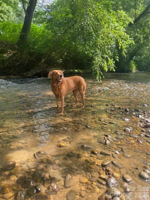 The Coves Mountain River Club - Land