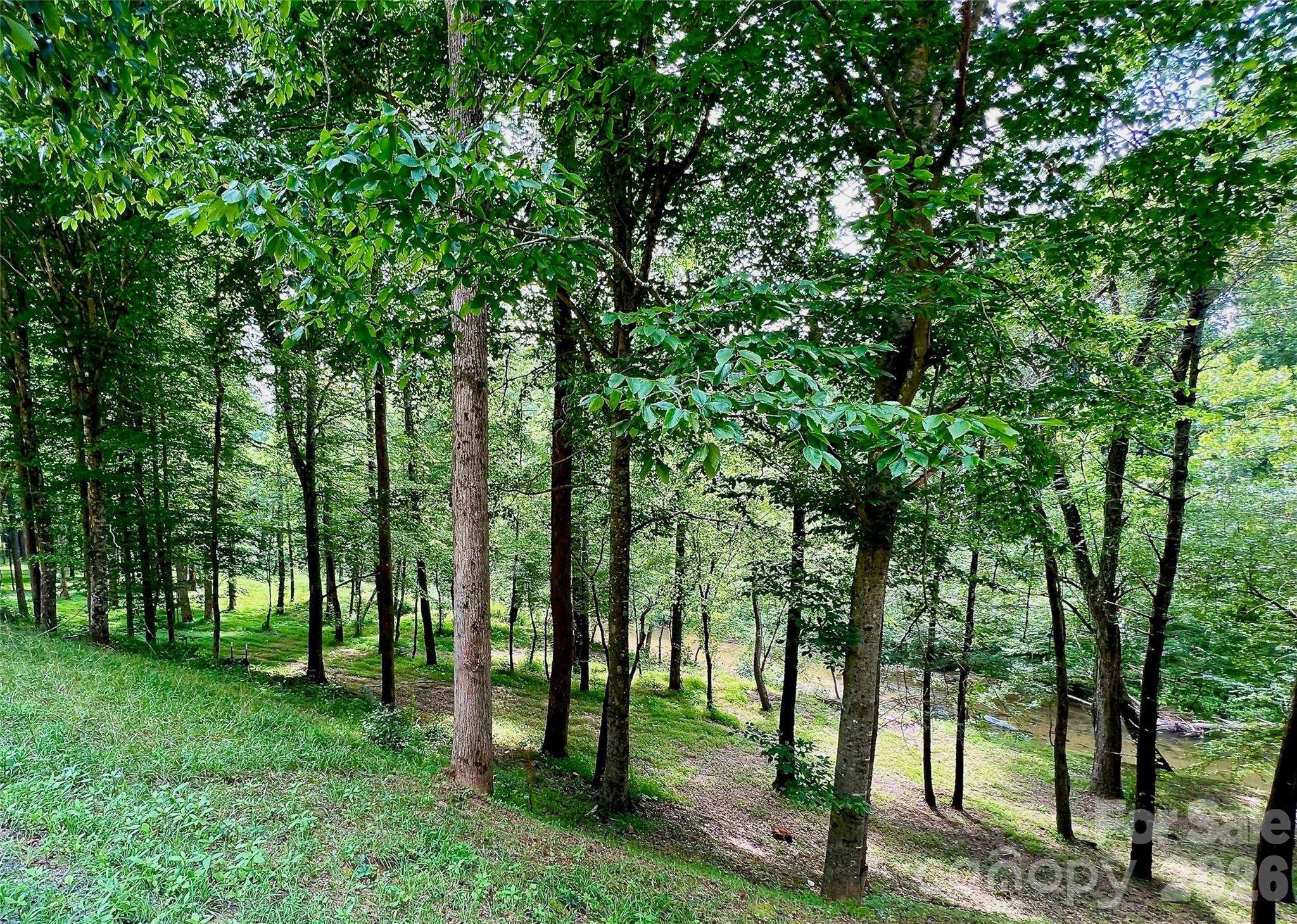 The Coves Mountain River Club - Land