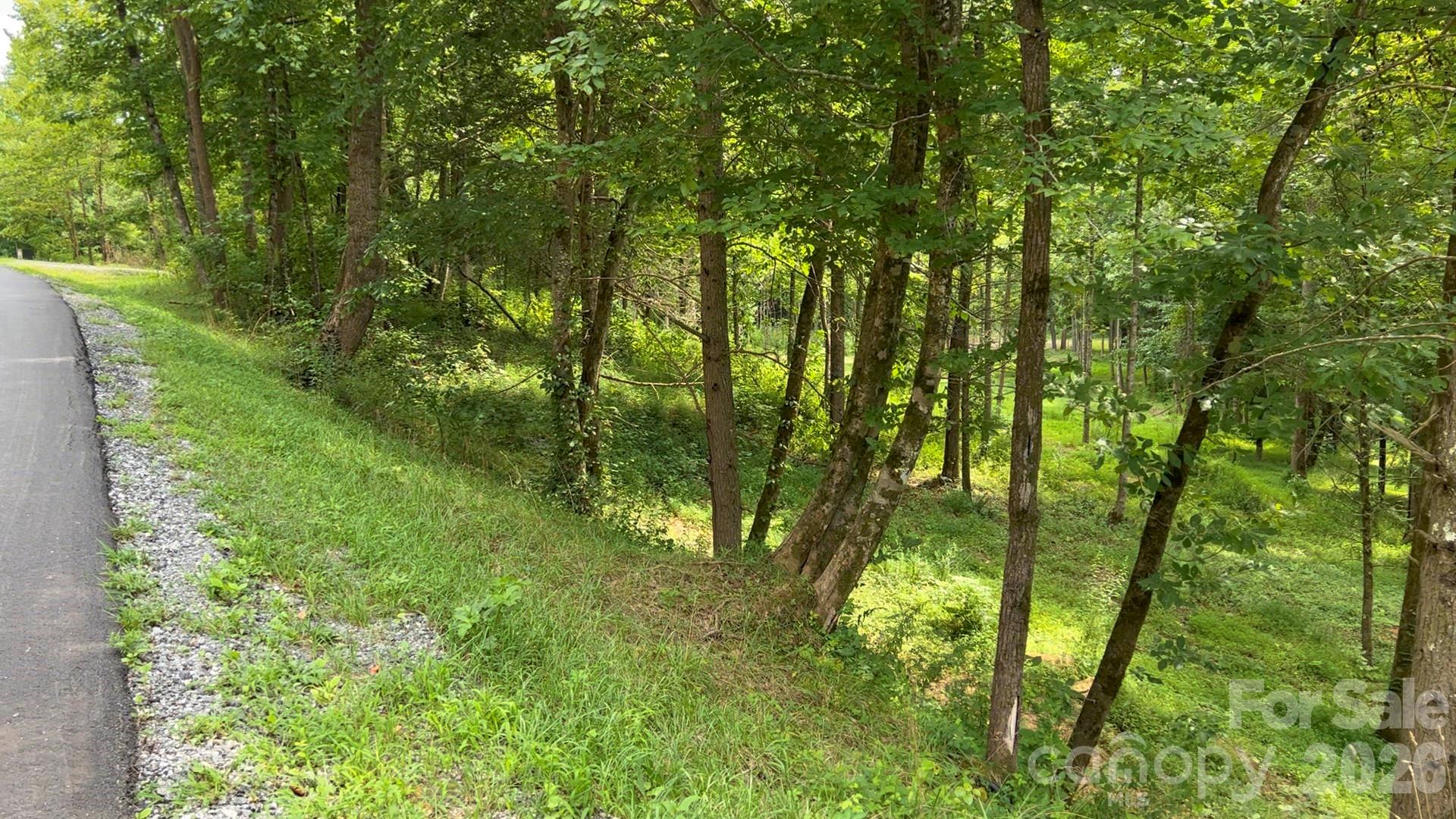 The Coves Mountain River Club - Land