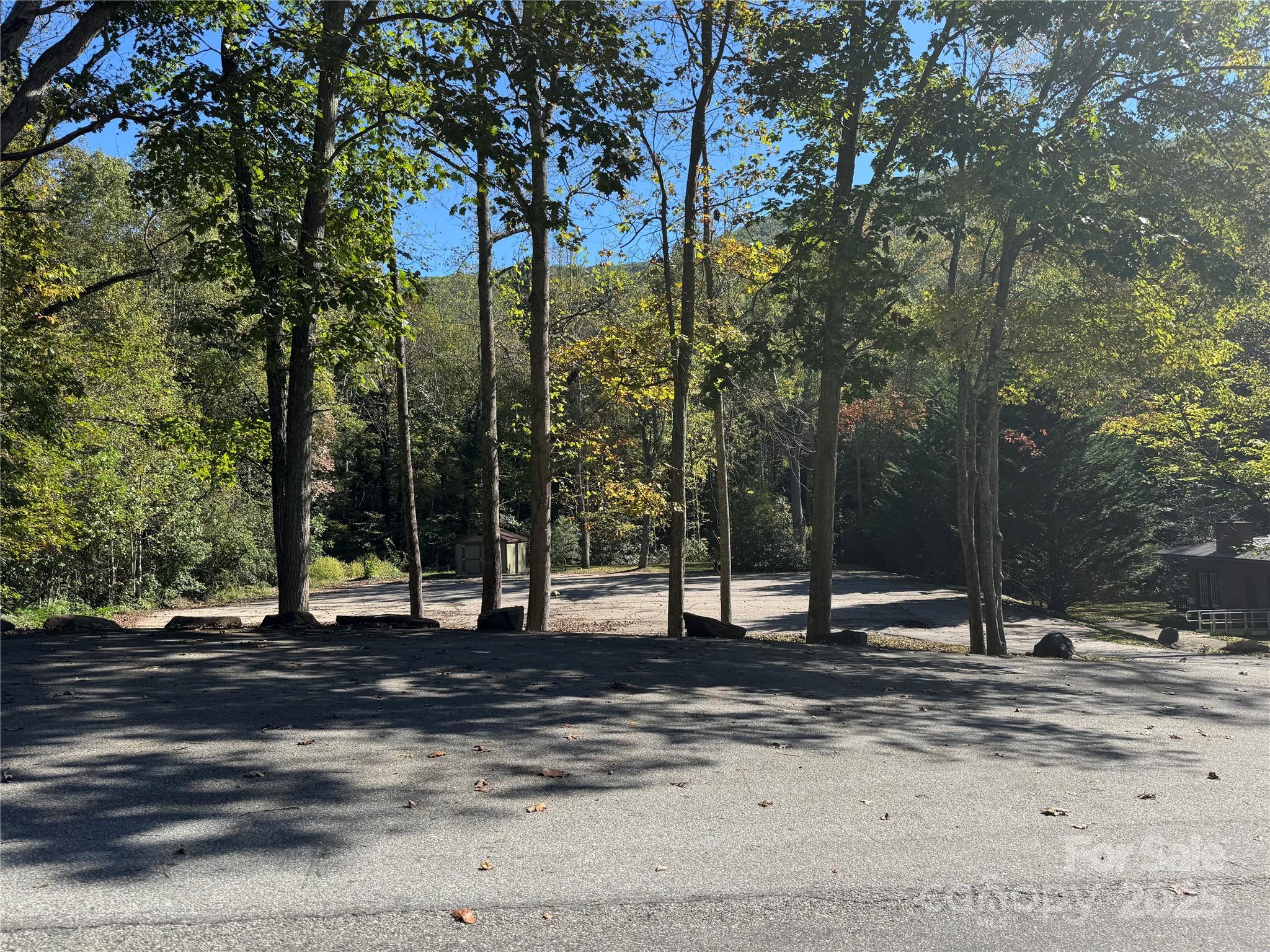 Fairview Forest - Land