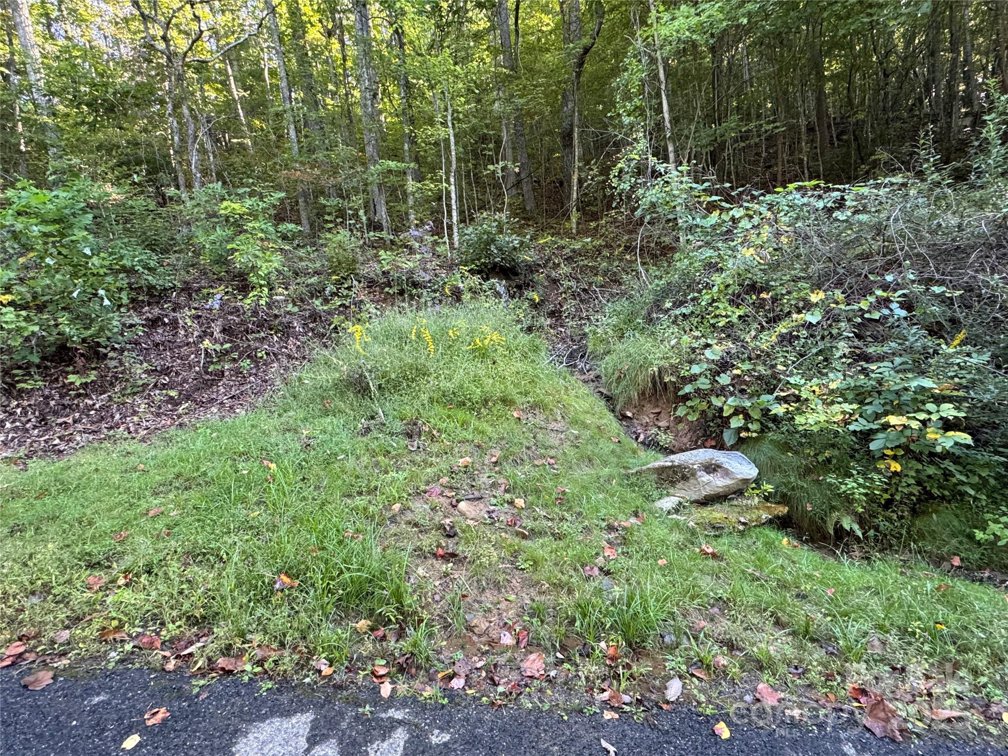 This is a very rare opportunity to purchased a partially developed home site that includes 3 lots. There is incredible view potential as well and the possibility of building additional homes. The most economical possibility would be building to build one or two, 1,200 cabins on piers with shared water from existing home site.

Fairview Forest is a beautiful wooded community that feels more like a park than a development. There is a recently updated club house with fireplace and adjacent large parking areas. The land around the club house is level and adjoins pristine Trantham Creek.

Fairview is a friendly, vibrant small community of artists, musicians, entrepreneurs and folk that are engaged in the live of the community. The scenery is very pastoral as we have an abundance of small family farms.

If you are looking for a country feel yet want access to all that the City of Asheville has to offer, you may want to call Fairview home!