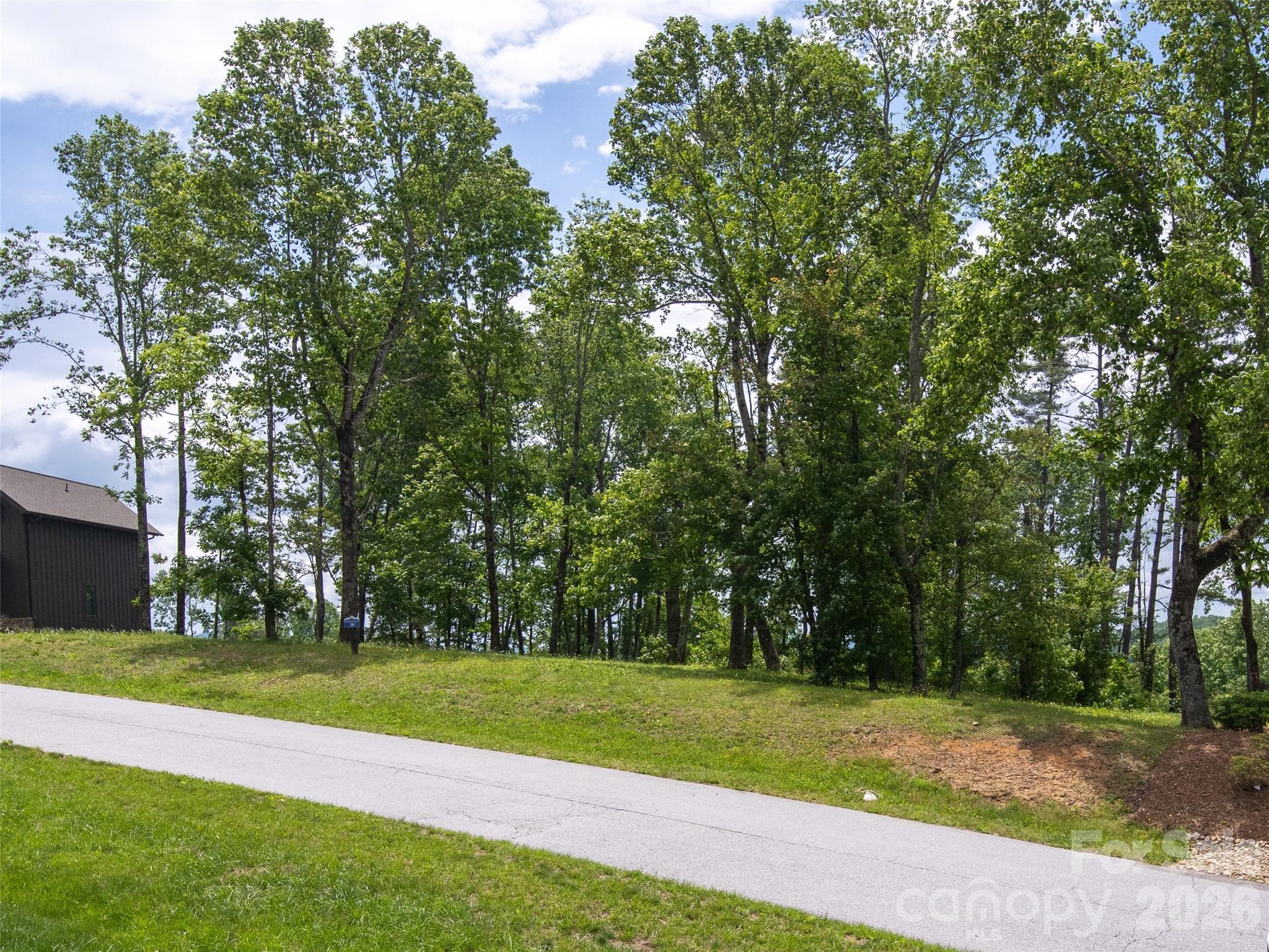 Grand Highlands at Bearwallow - Land