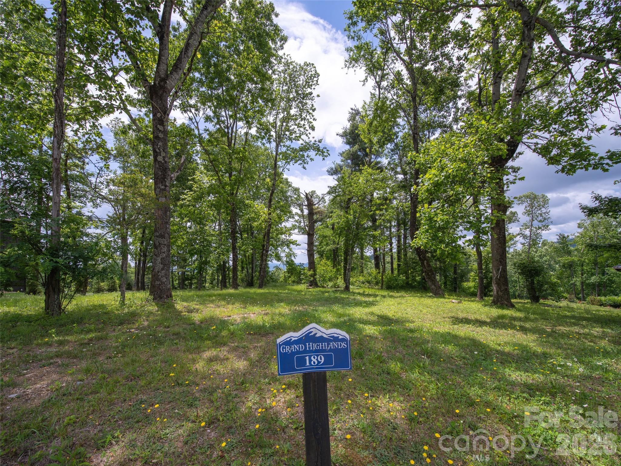 Grand Highlands at Bearwallow - Land