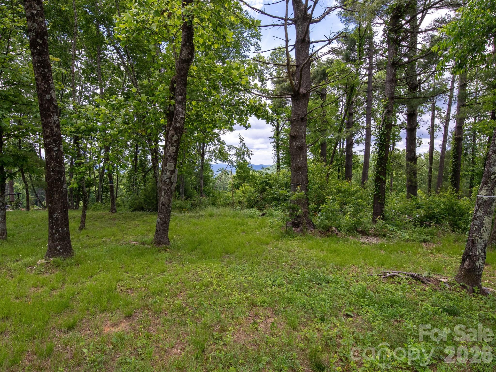 Grand Highlands at Bearwallow - Land
