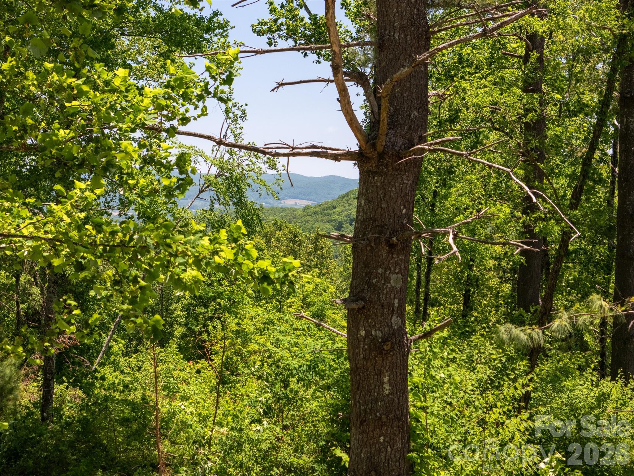 Grand Highlands at Bearwallow - Land