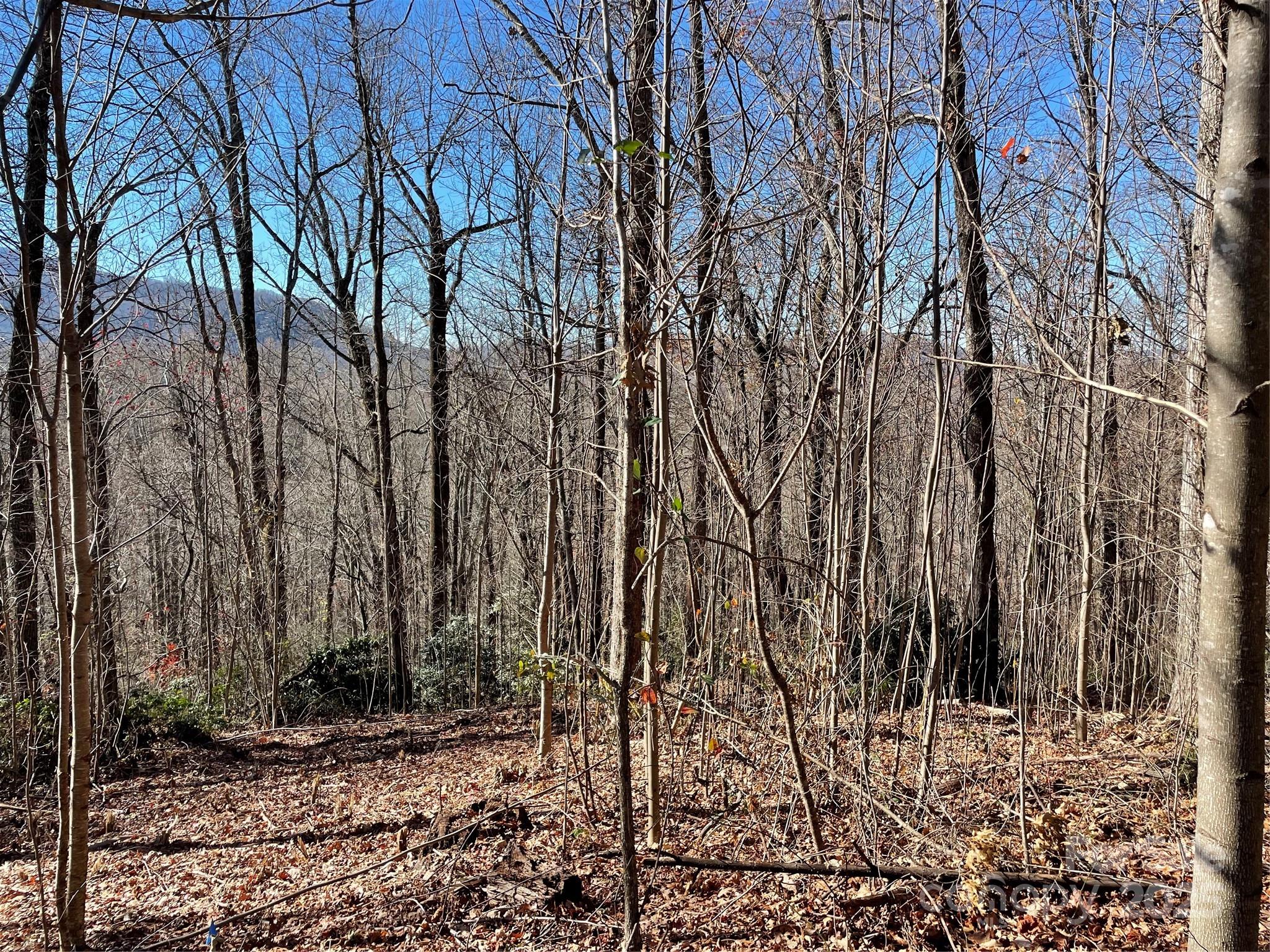 This 4 acre wooded property is conveniently located 30 minutes from Asheville, and convenient to Fairview, Black Mountain, and Lake Lure. It is bordered by Nesbitt Chapel Road on both sides. The cleared building site is 50 feet from the upper road and has a permit for a well and septic drain field as shown in the attachments.  There are spectacular multi-ridgeline distant views in winter which could be year round with minimal tree removal.  Overhead electric power is on neighboring properties on Nesbitt Chapel Road and Rocky Knob Road. It is surrounded by more than 300 acres of other similarly restricted properties which have minimum lot sizes of either 4 acres or 10 acres. This lot can't be subdivided. Neighboring homes are at 206 and 212 Nesbitt Chapel Road.  There are sensible restrictions (see attachments), no POA, and a road maintenance agreement with twice yearly assessments which keeps the road in excellent condition. No road assessments are due until development begins.