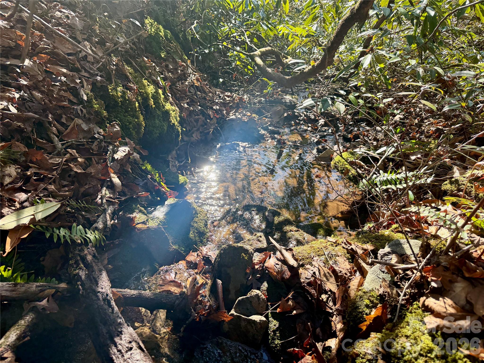Oak Laurel - Land