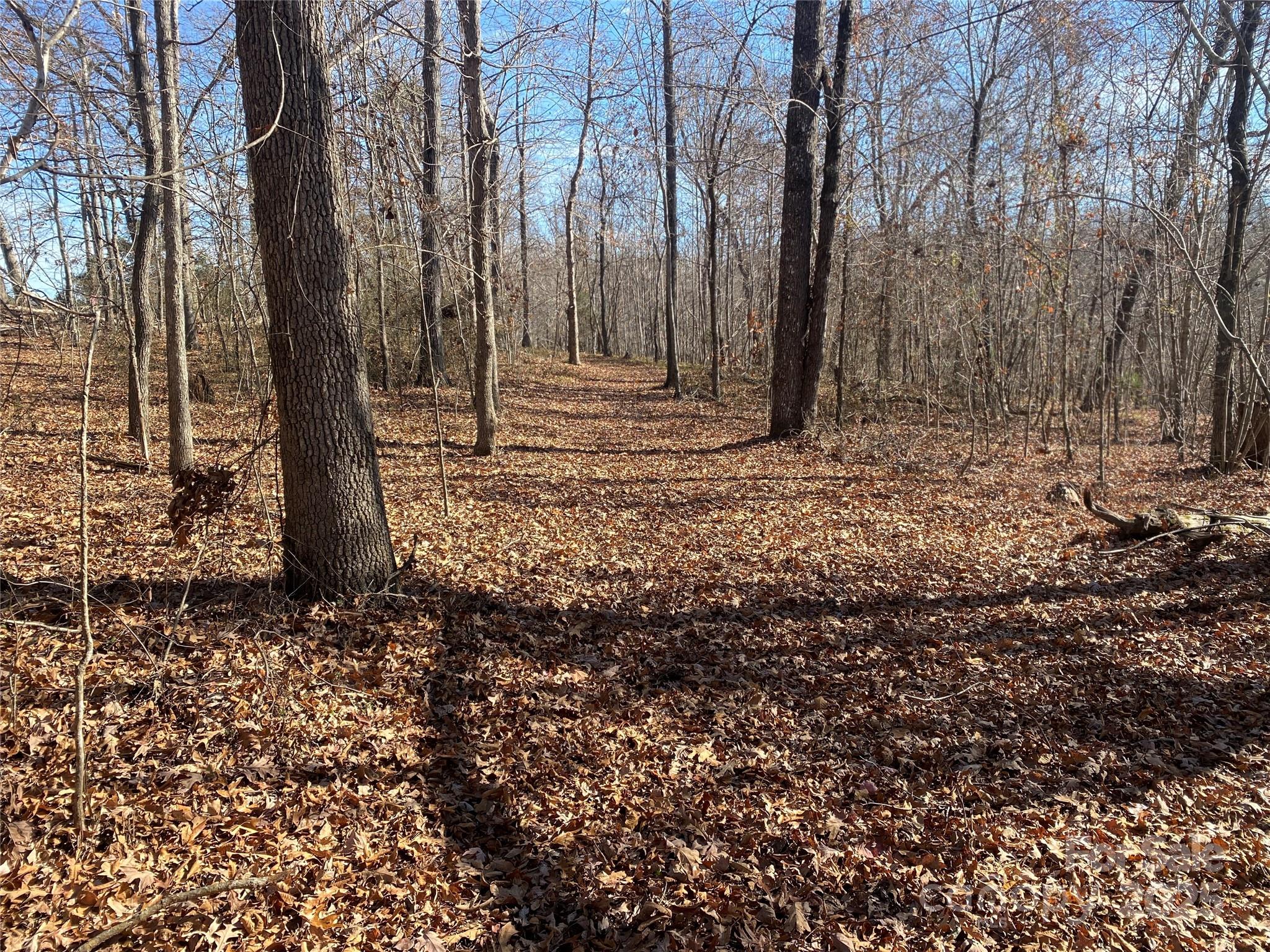 Discover the charm of rural Rutherford County with this beautiful ±1.93-acre wooded property on Kiser Road in Bostic, NC. This versatile tract offers the perfect blend of privacy, convenience, and natural beauty—ideal for anyone looking to build a home, create a weekend retreat, or invest in land.

A gently rolling landscape leads to a creek along the rear boundary, adding both character and a peaceful setting. An existing roadbed/trail is already in place, making access and exploration easy from day one. The property is mostly wooded, offering seclusion and flexibility for future homesite planning.

Located in a quiet country setting yet just minutes from local amenities, this parcel features minimal restrictions and access to public water, giving buyers valuable convenience without sacrificing freedom or lifestyle.

Whether you’re dreaming of a custom home, a small homestead, or a recreational getaway, this tract checks all the boxes.

Don’t miss your chance to own a prime piece of land in one of Rutherford County’s most desirable rural communities!

Water tap ncluded with the purchase!!!!