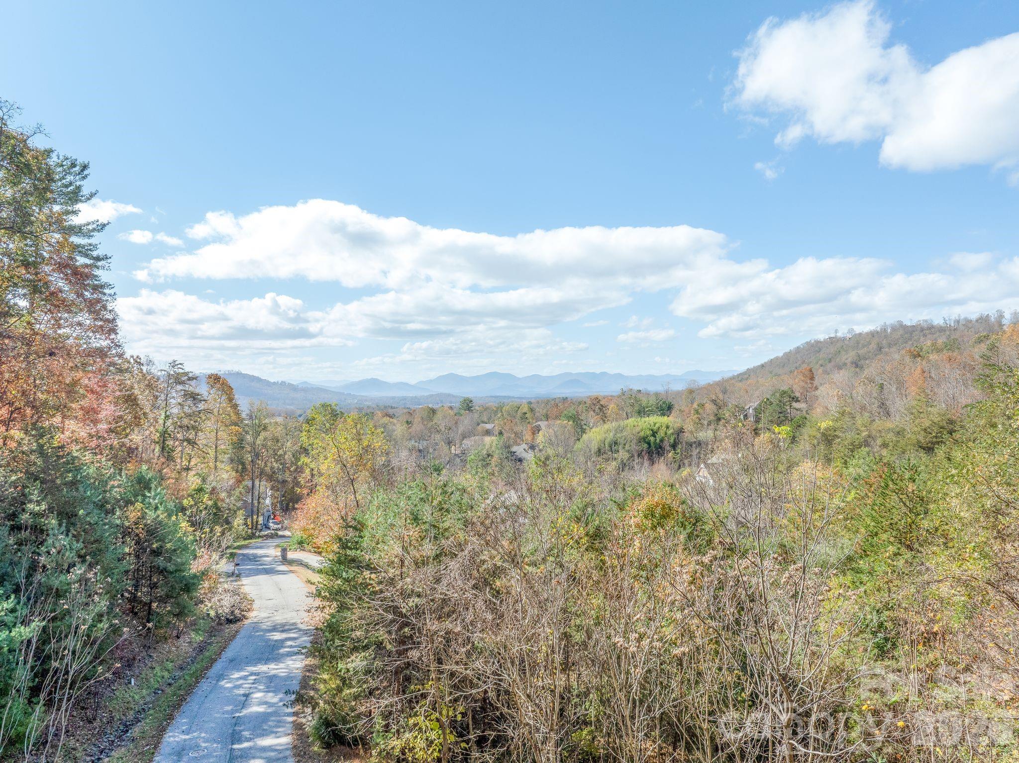 Reems Creek Golf Community - Land