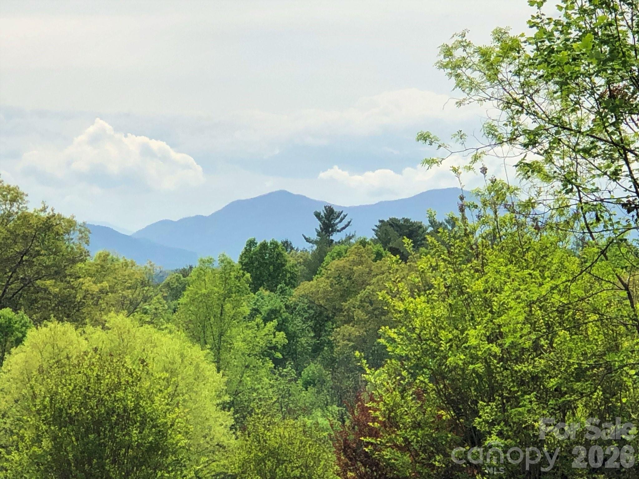 Reems Creek Golf Community - Land
