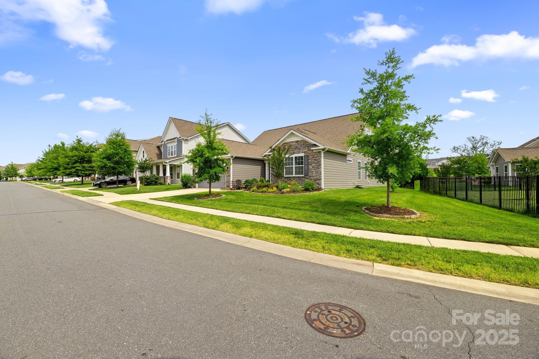 Avondale - Residential