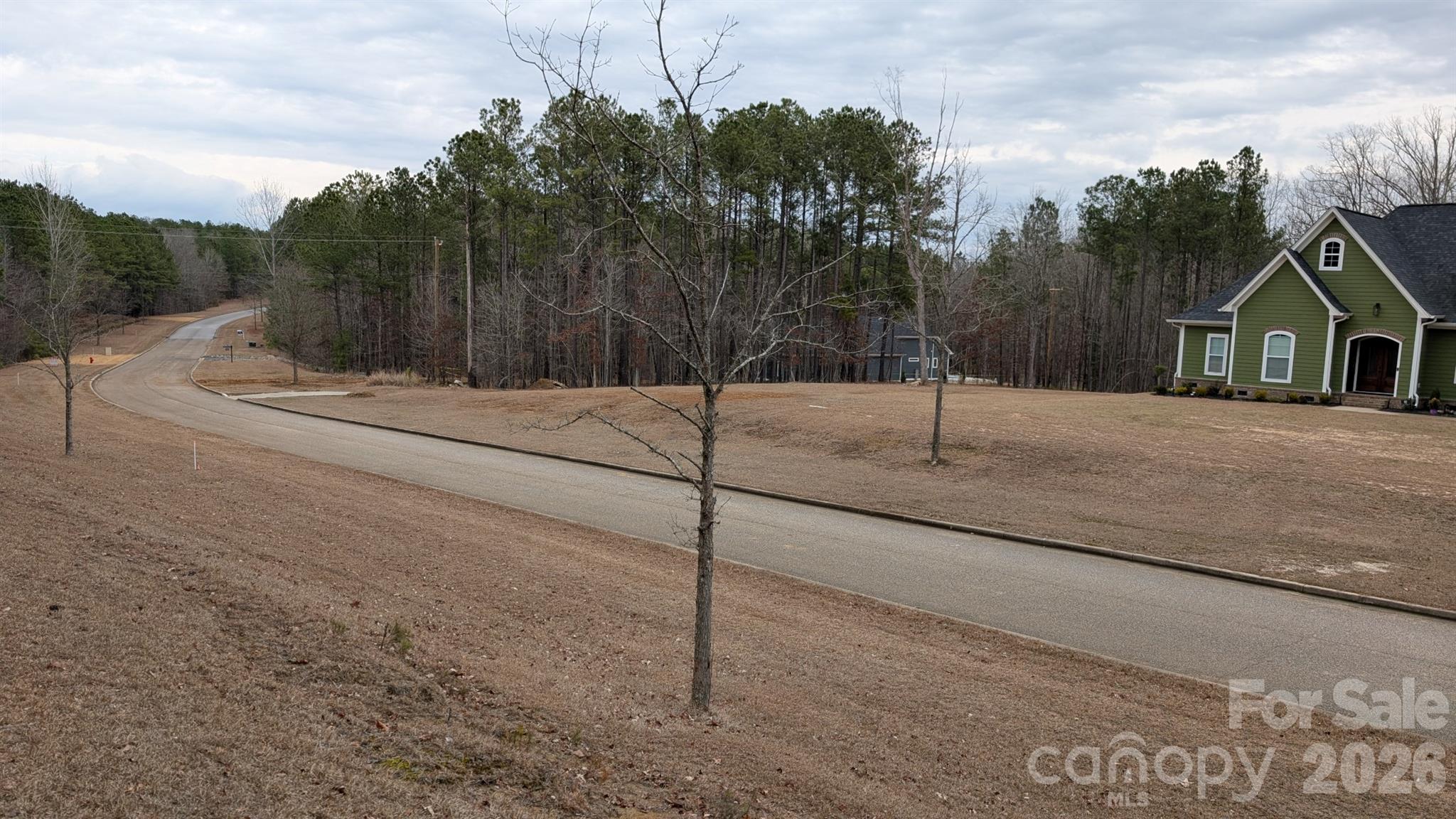 The Woods at Molly Creek - Land