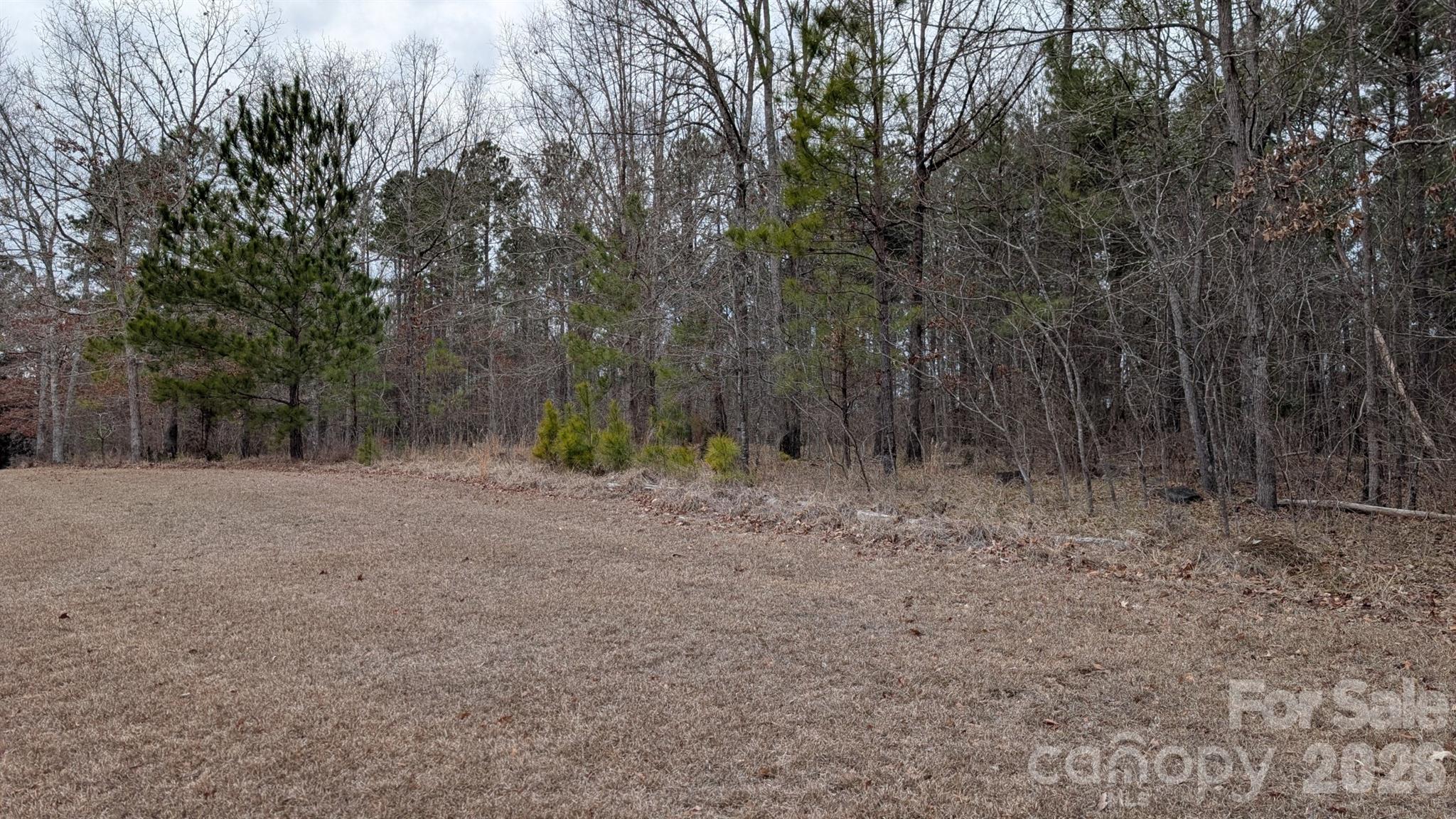 The Woods at Molly Creek - Land