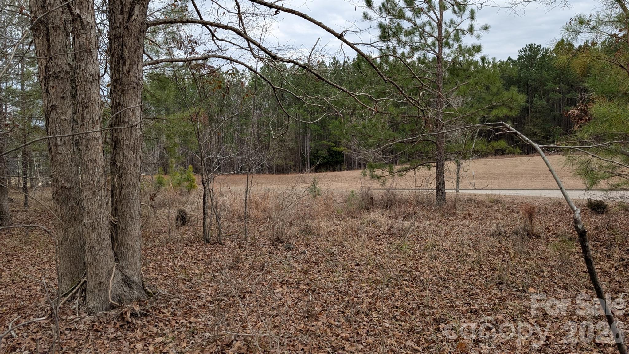 The Woods at Molly Creek - Land