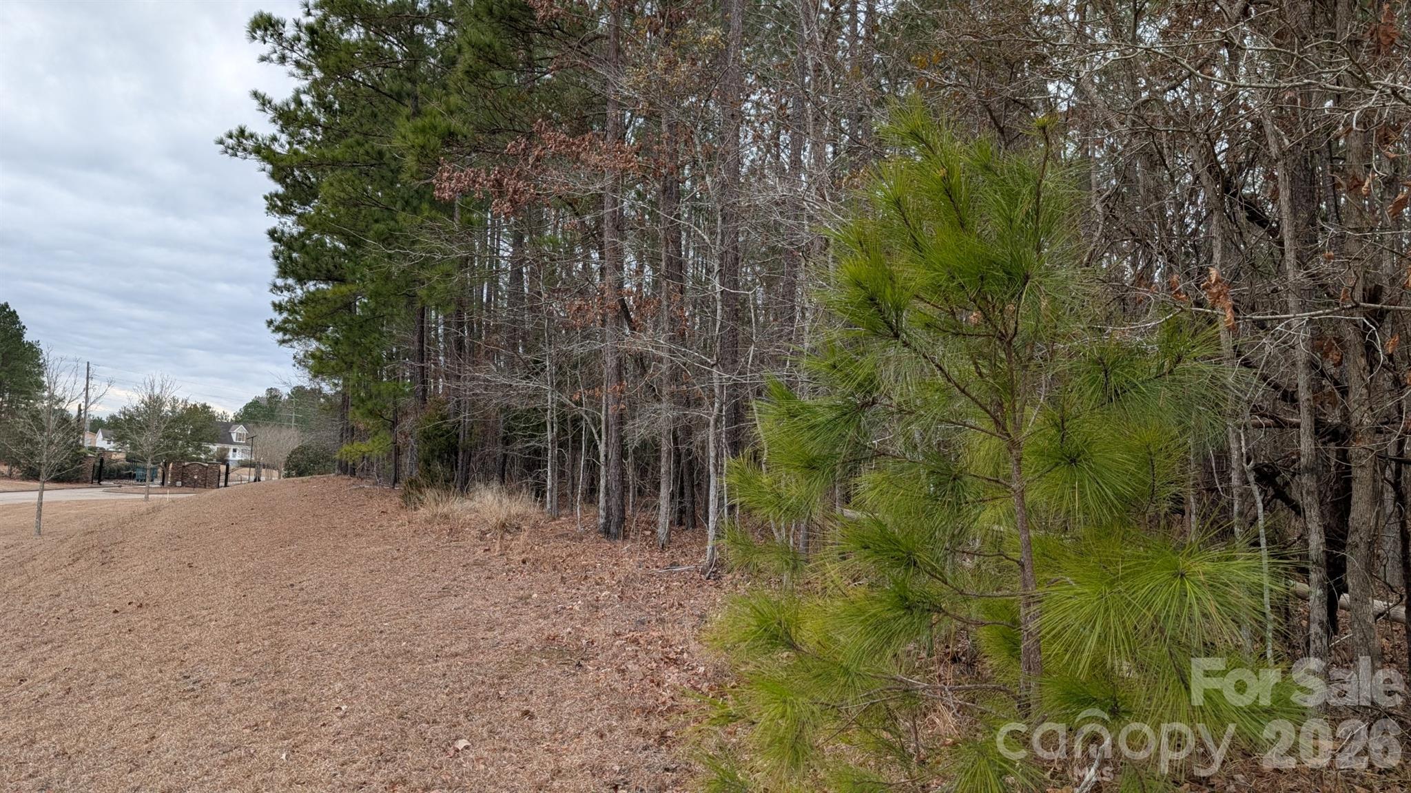 The Woods at Molly Creek - Land