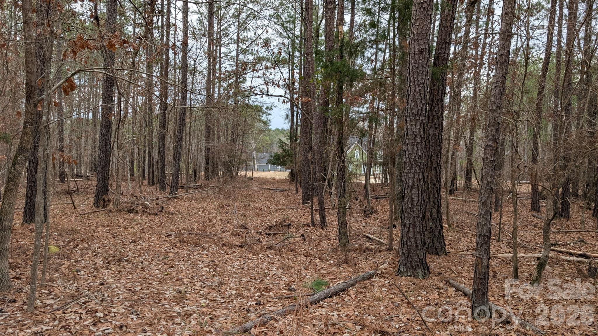 The Woods at Molly Creek - Land