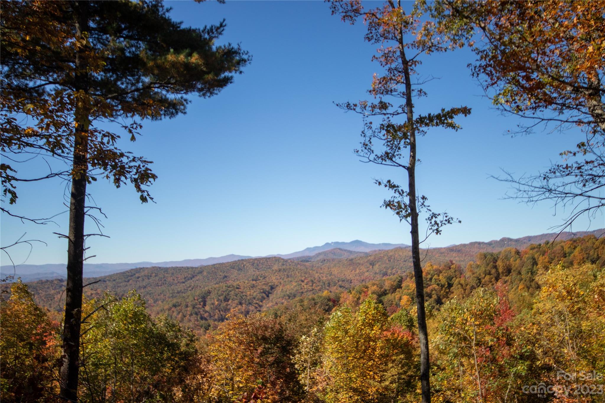 Timber Rock - Land