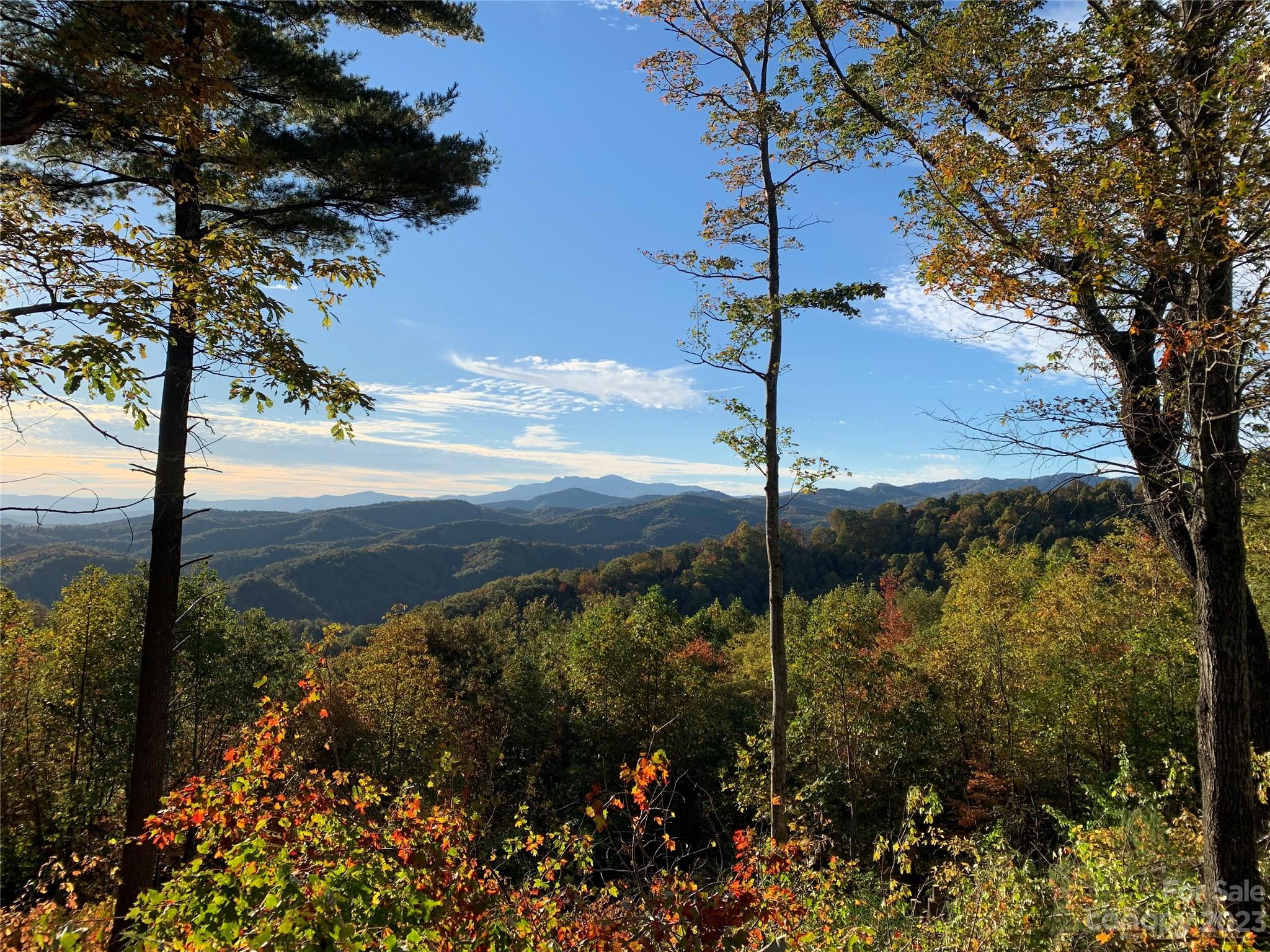 Timber Rock - Land