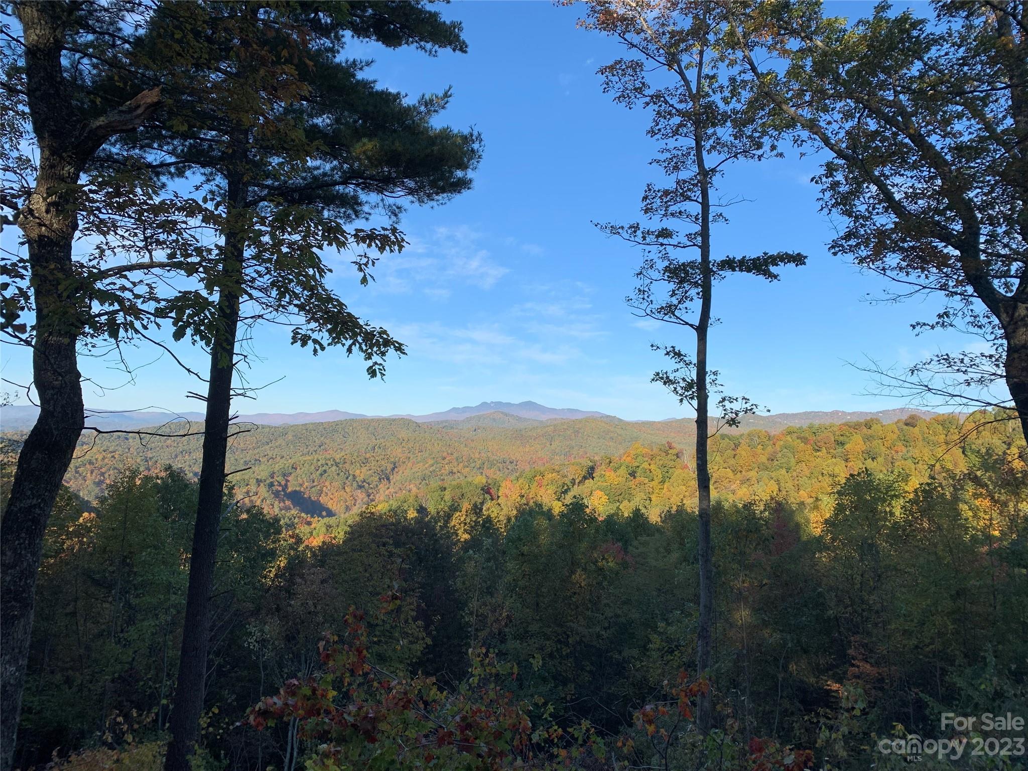 Timber Rock - Land