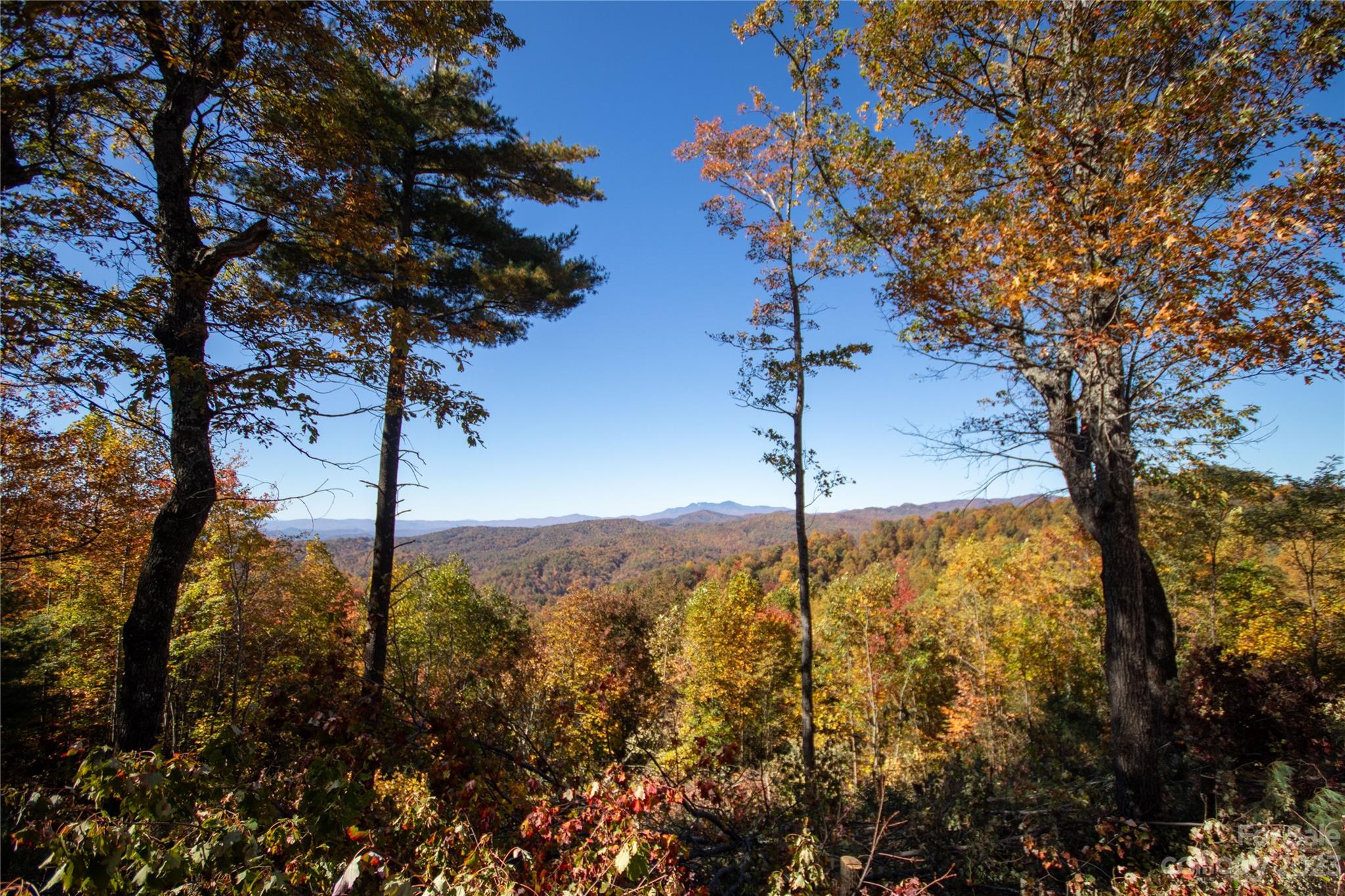 Timber Rock - Land