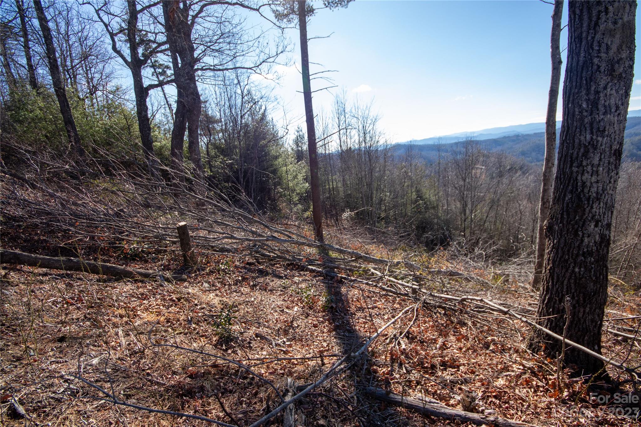 Timber Rock - Land
