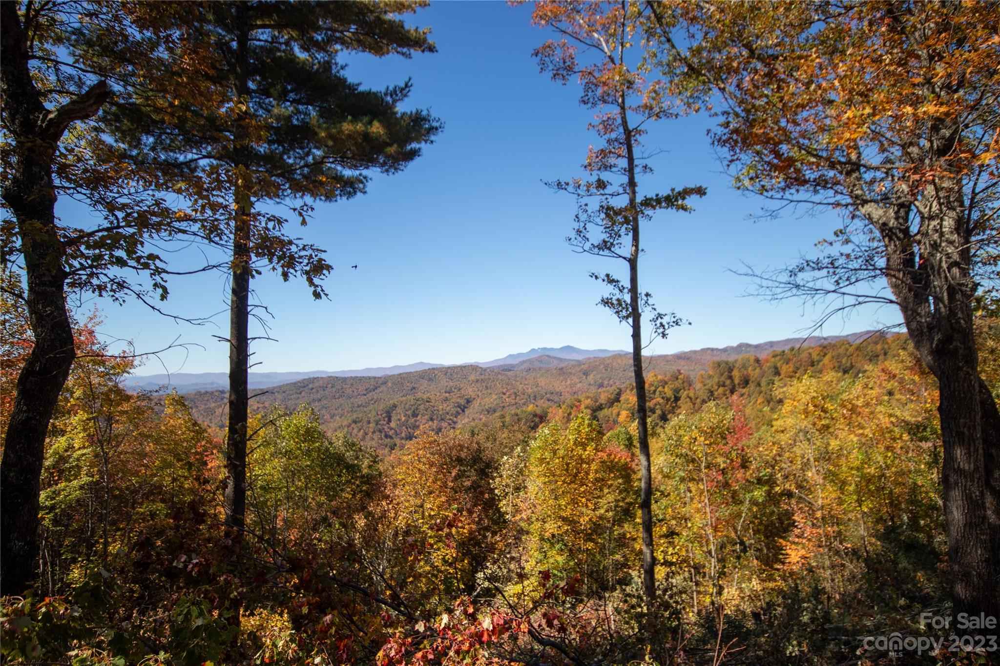 Timber Rock - Land