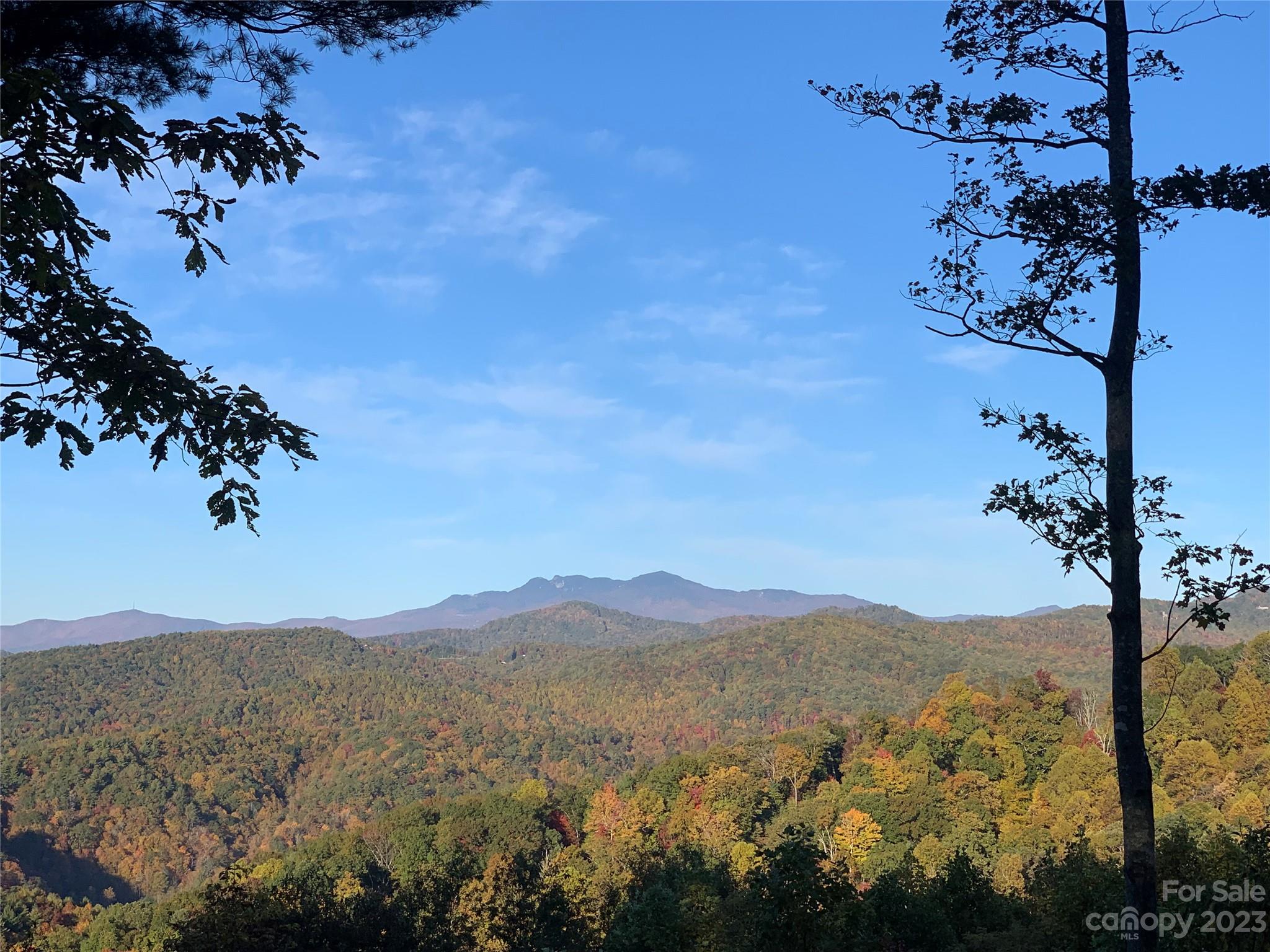 Timber Rock - Land