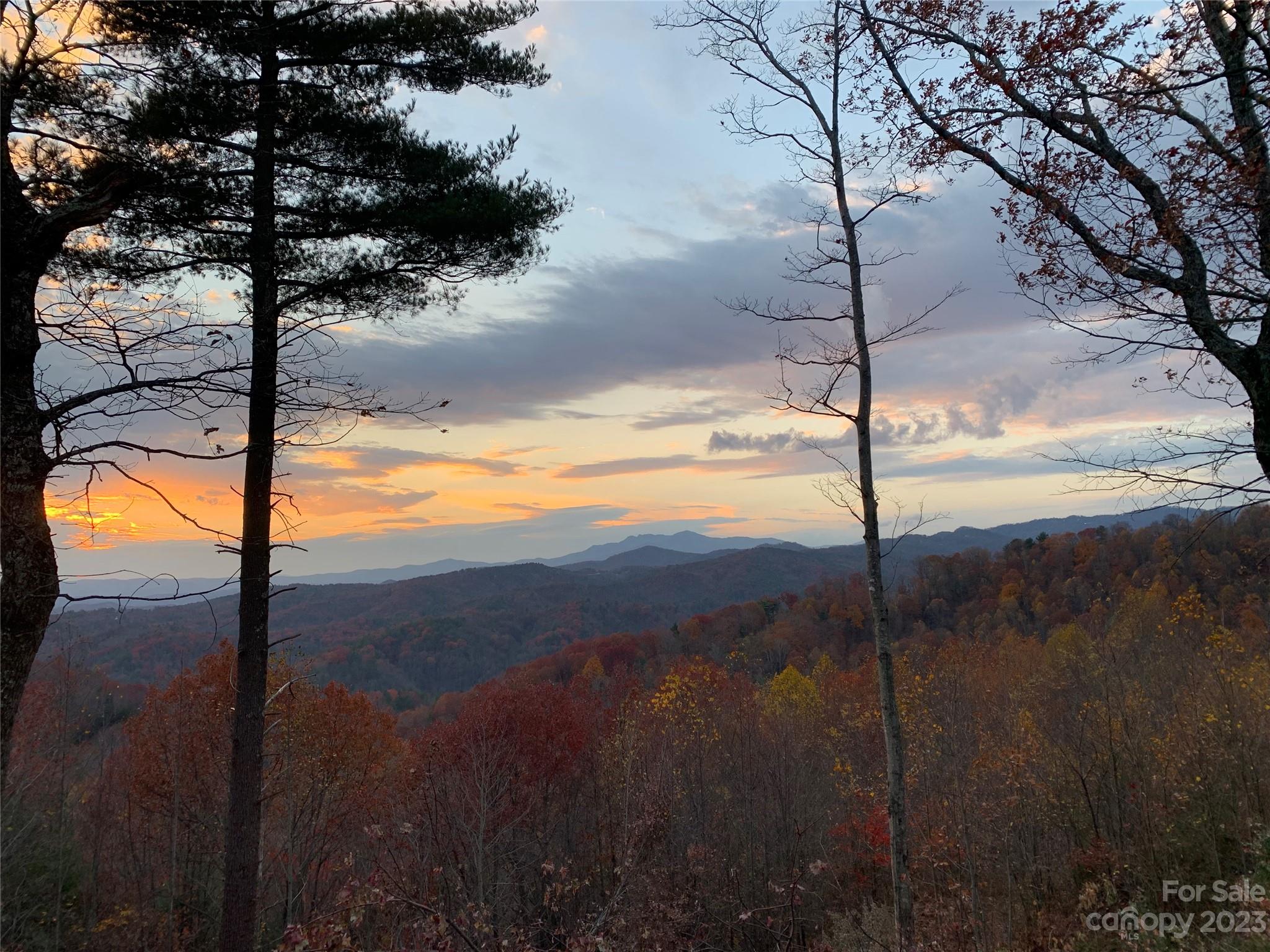 Timber Rock - Land