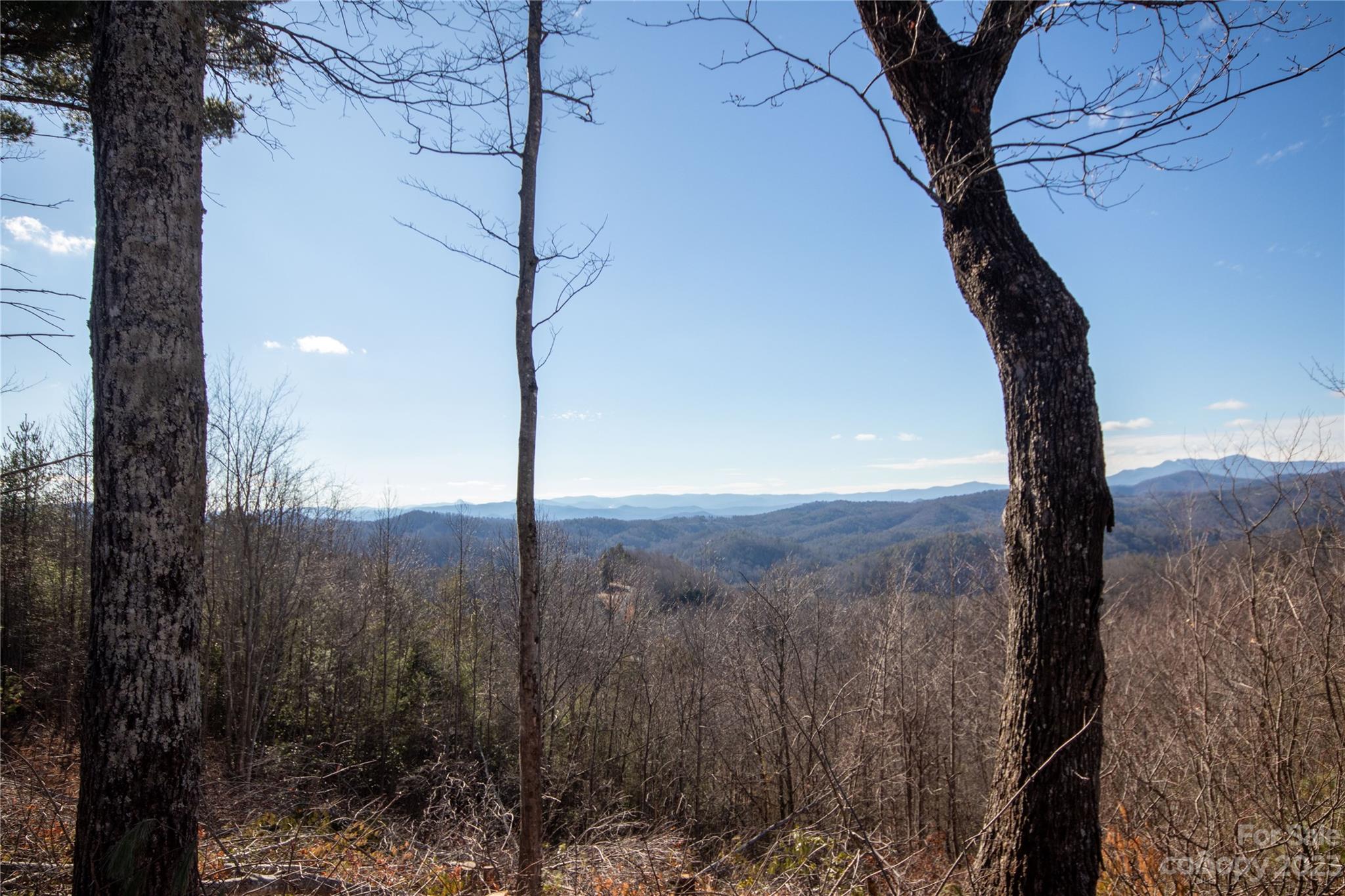 Timber Rock - Land