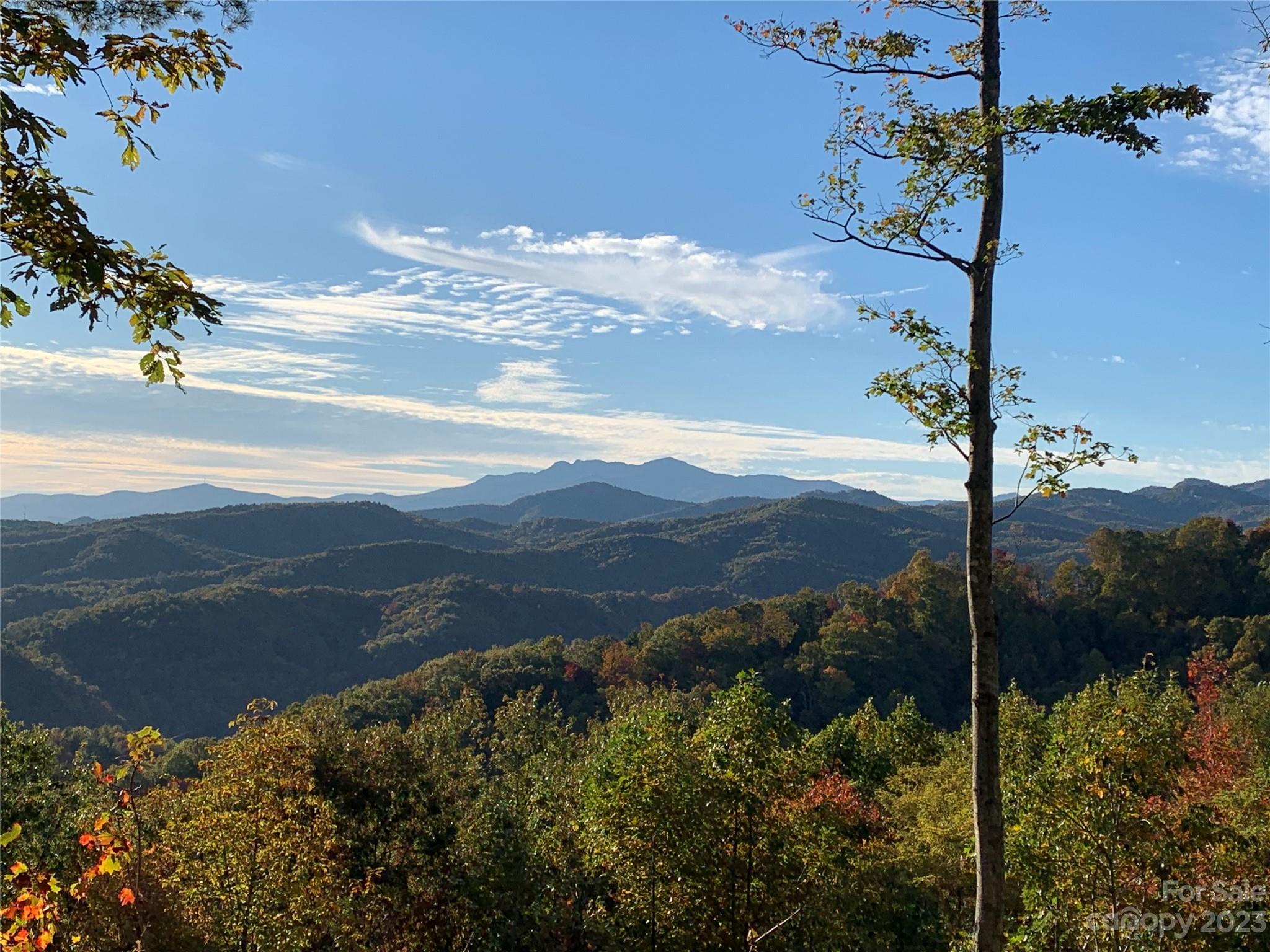 Timber Rock - Land