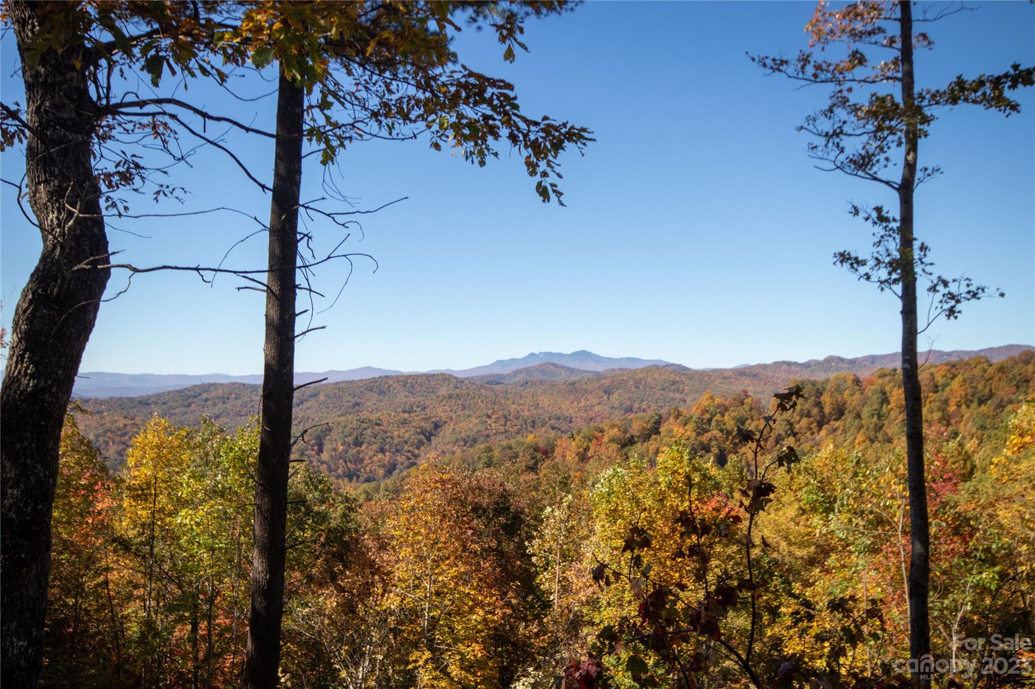 Timber Rock - Land