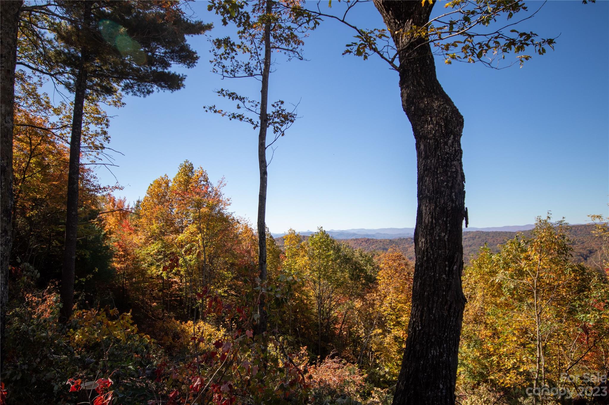 Timber Rock - Land