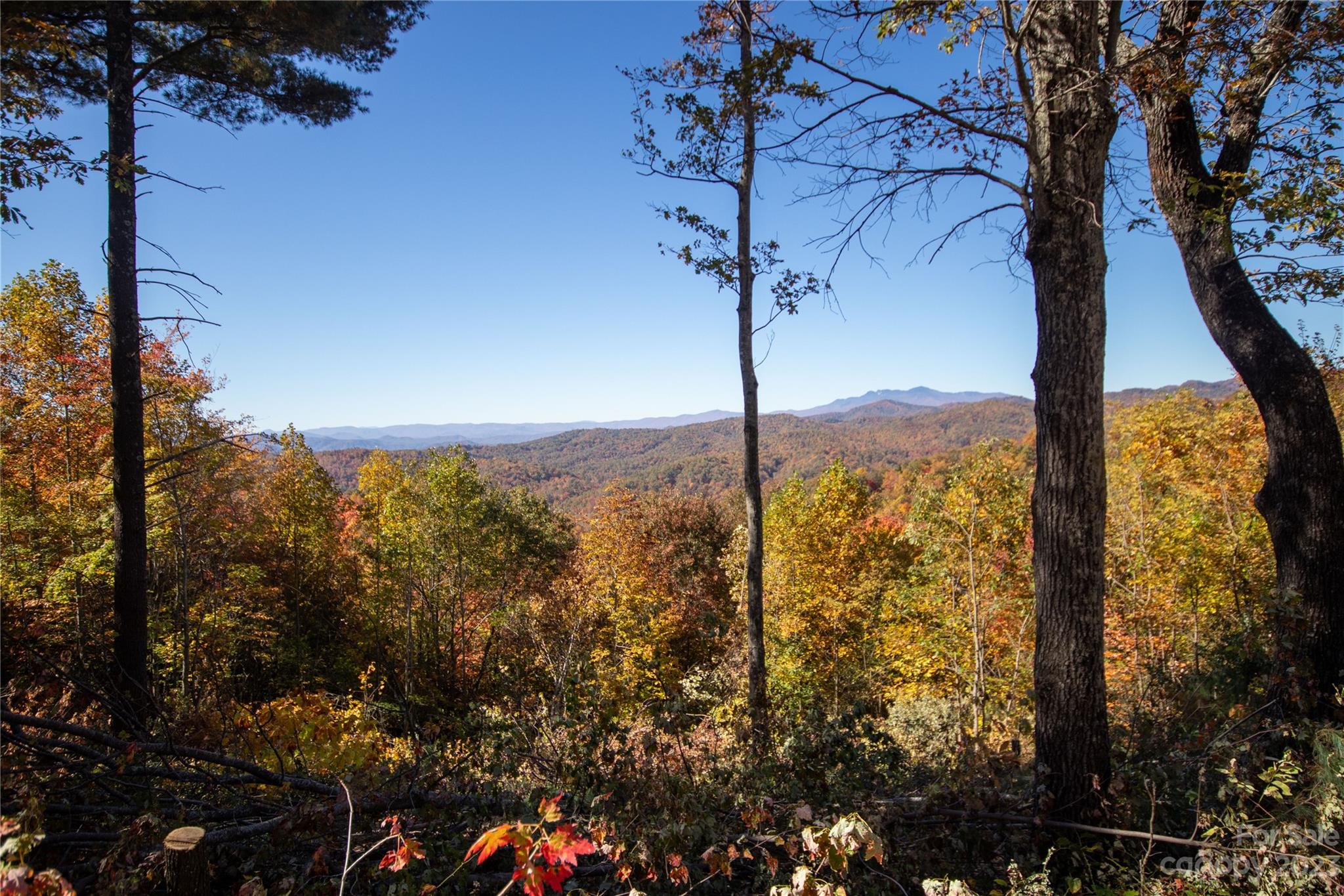Timber Rock - Land