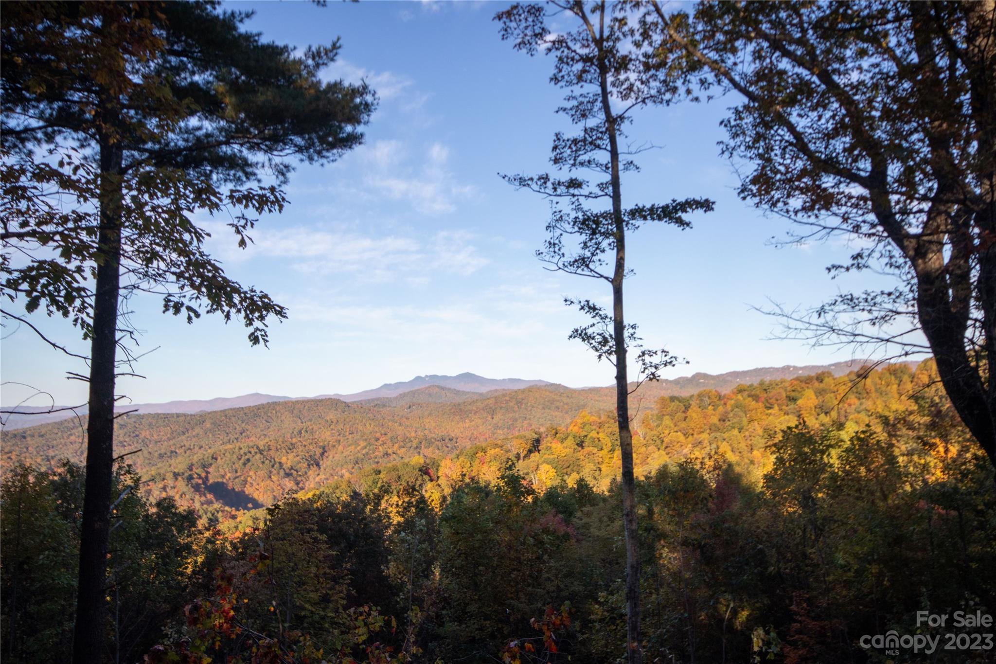 Timber Rock - Land