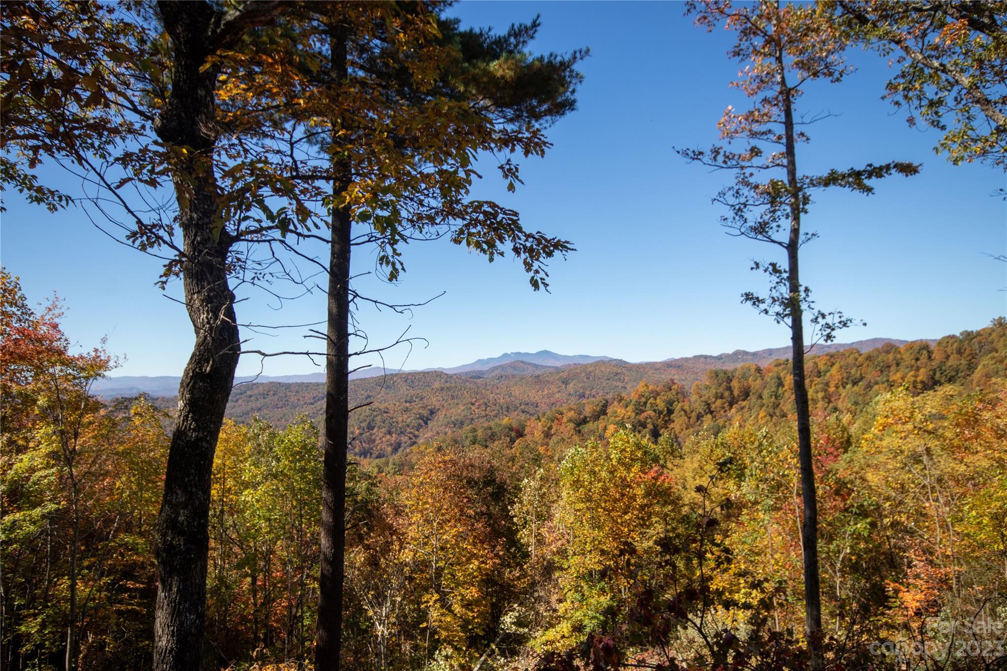 Timber Rock - Land