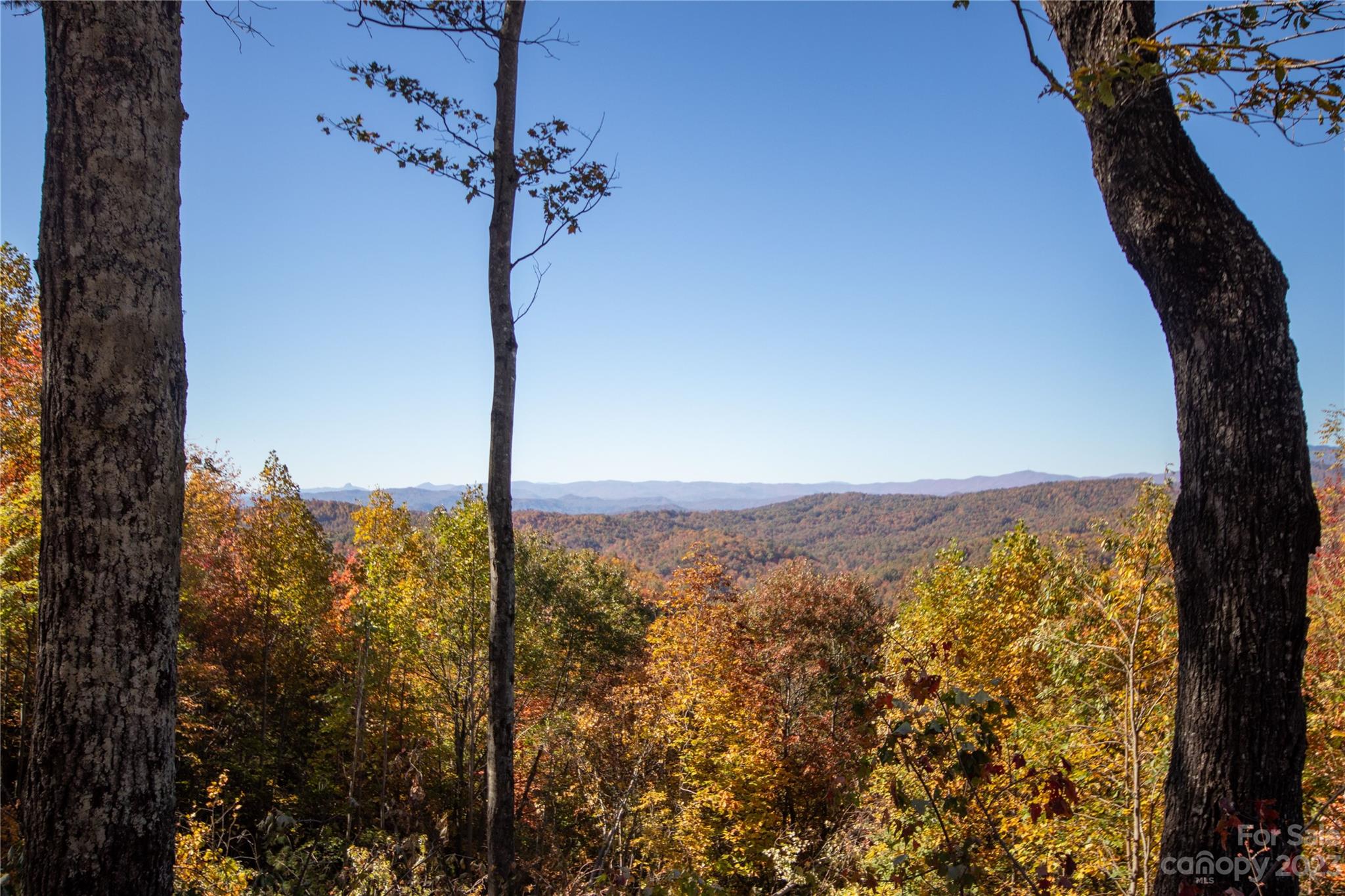Timber Rock - Land