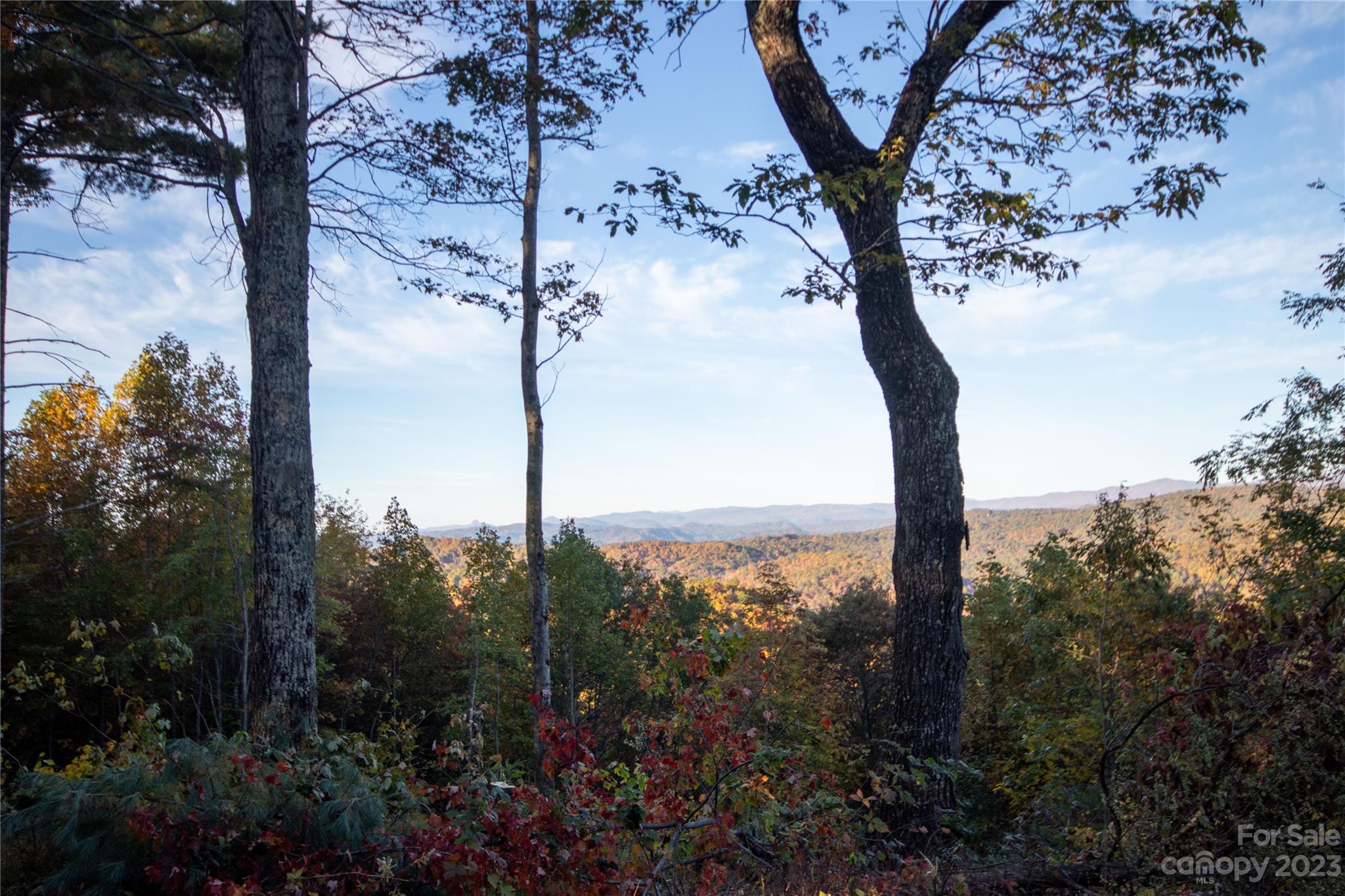Timber Rock - Land