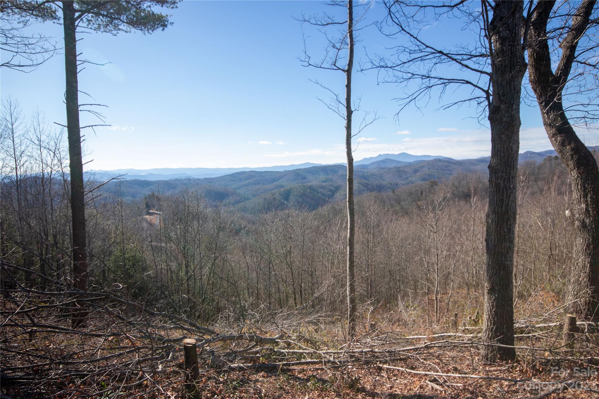 Timber Rock - Land