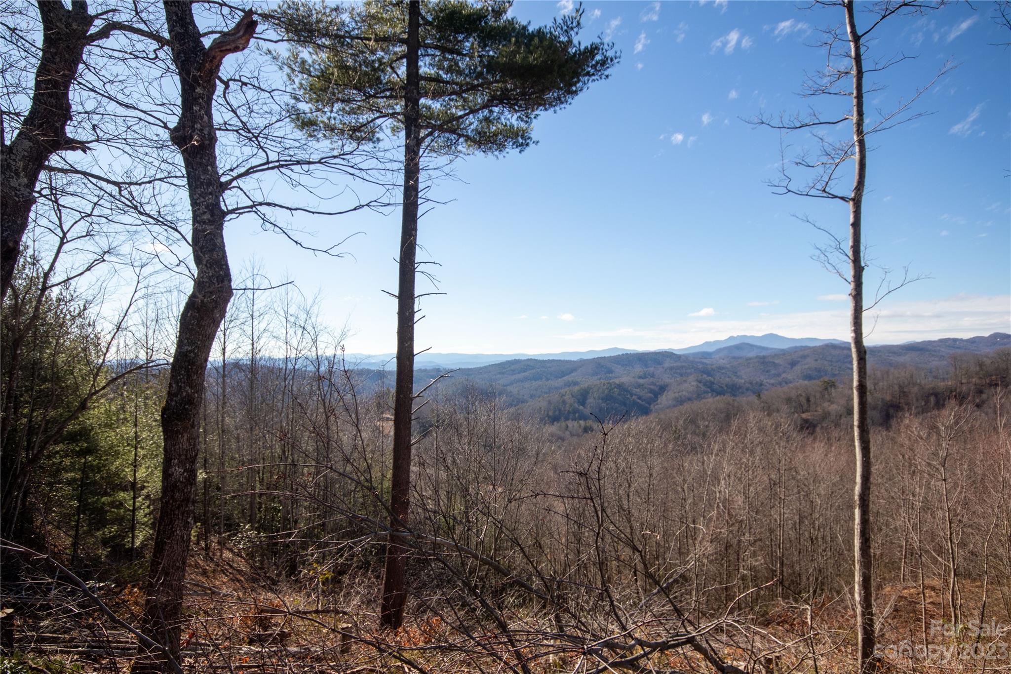 Timber Rock - Land