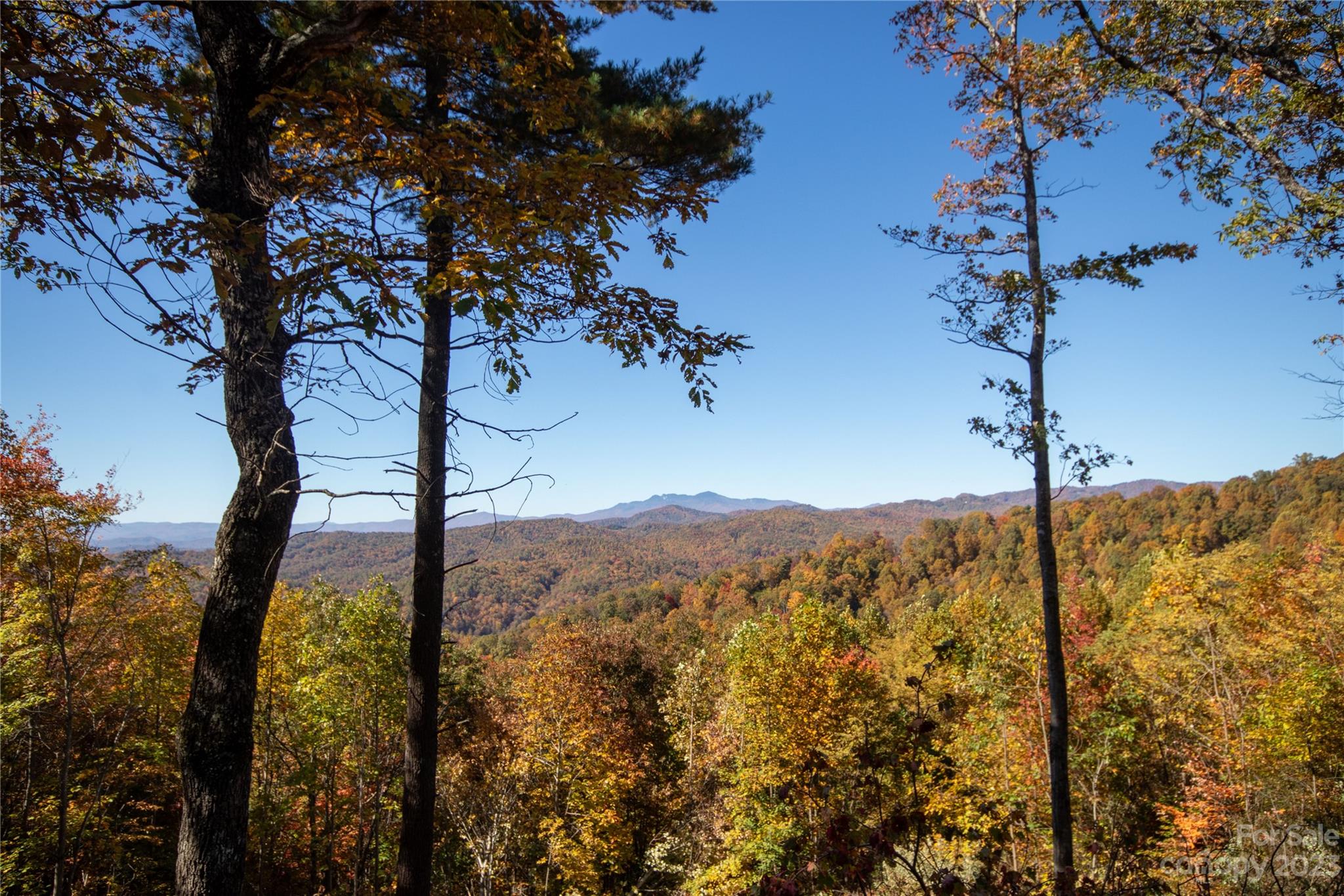 Timber Rock - Land