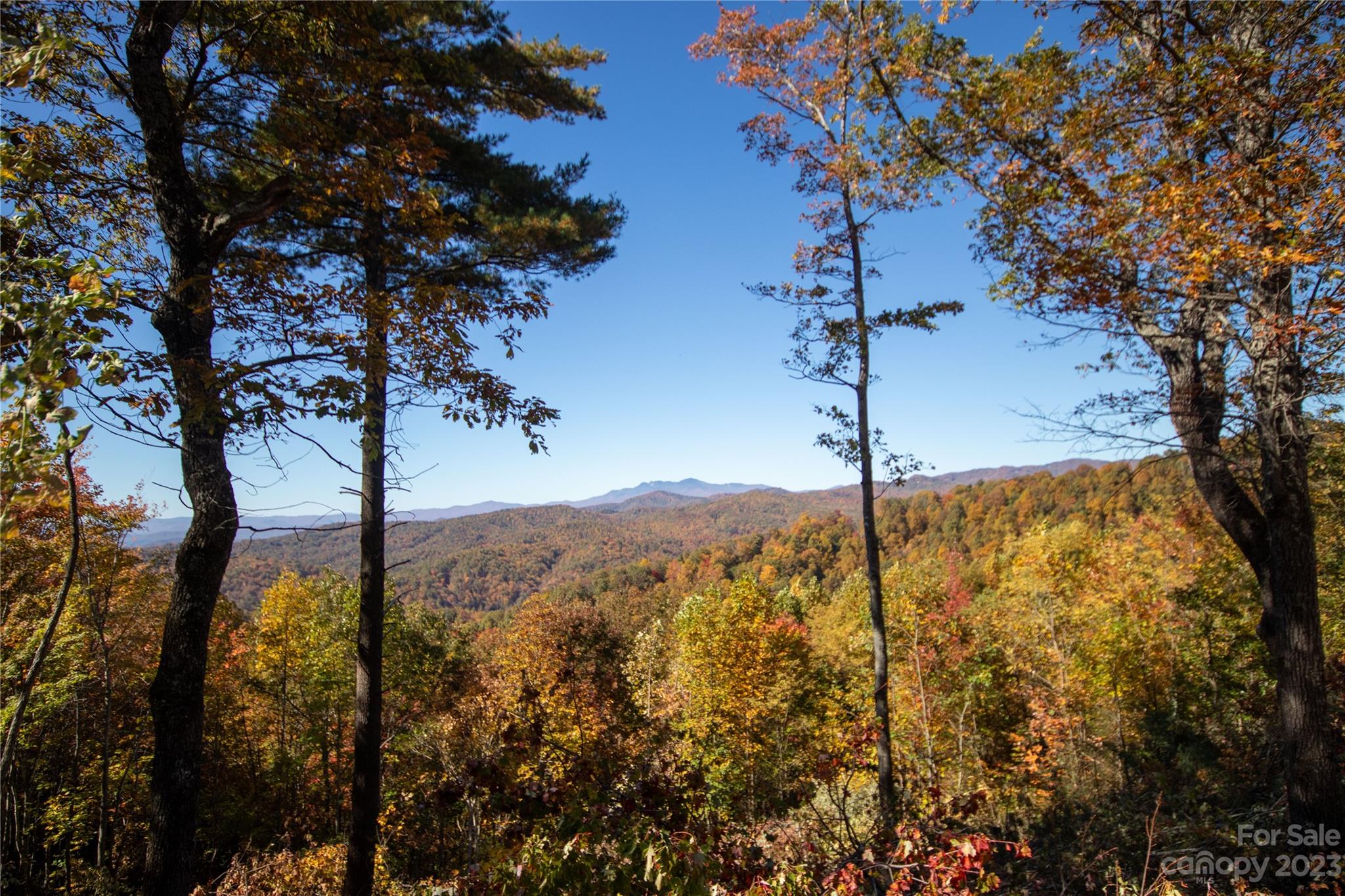 Timber Rock - Land