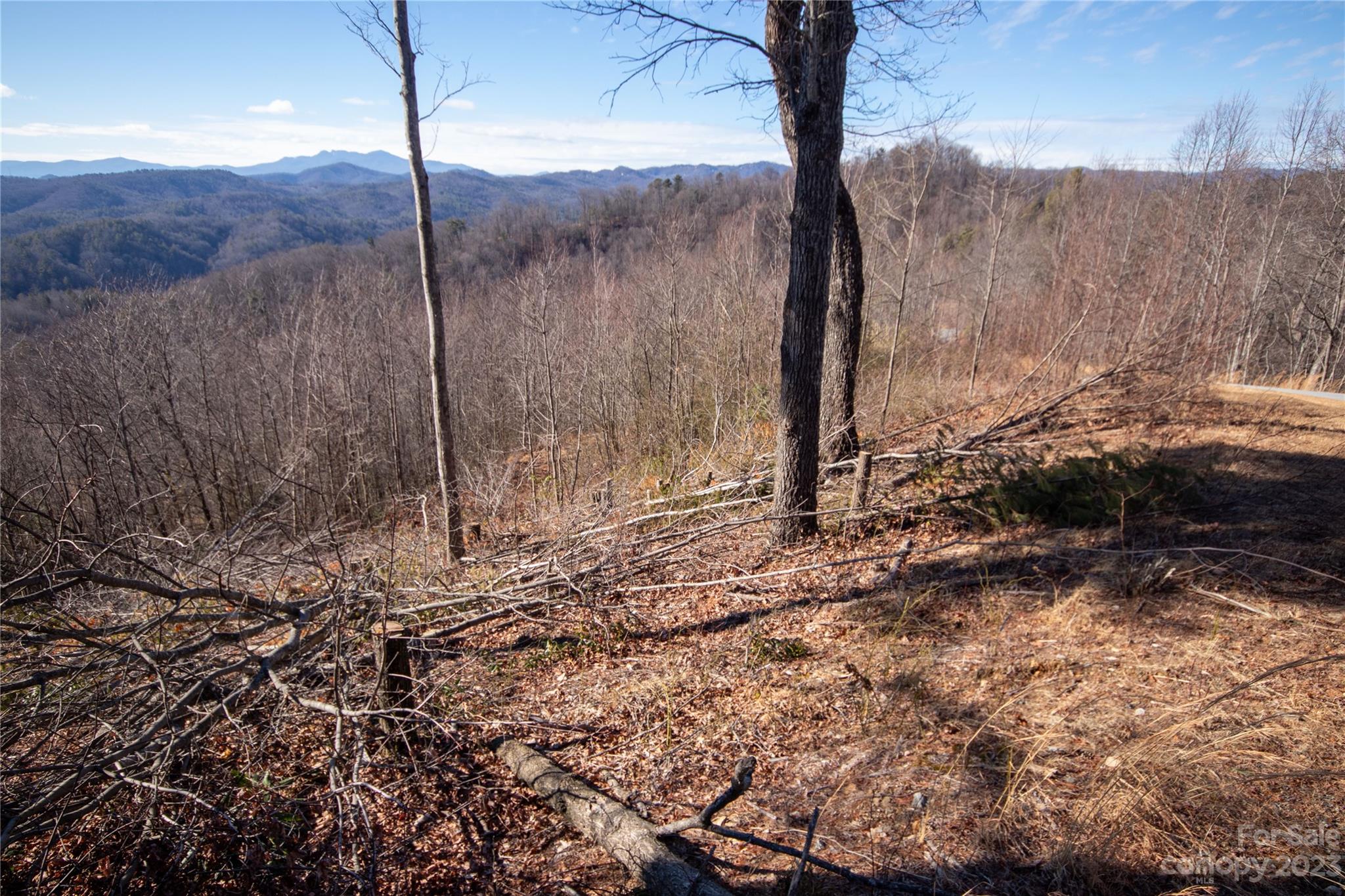 Timber Rock - Land