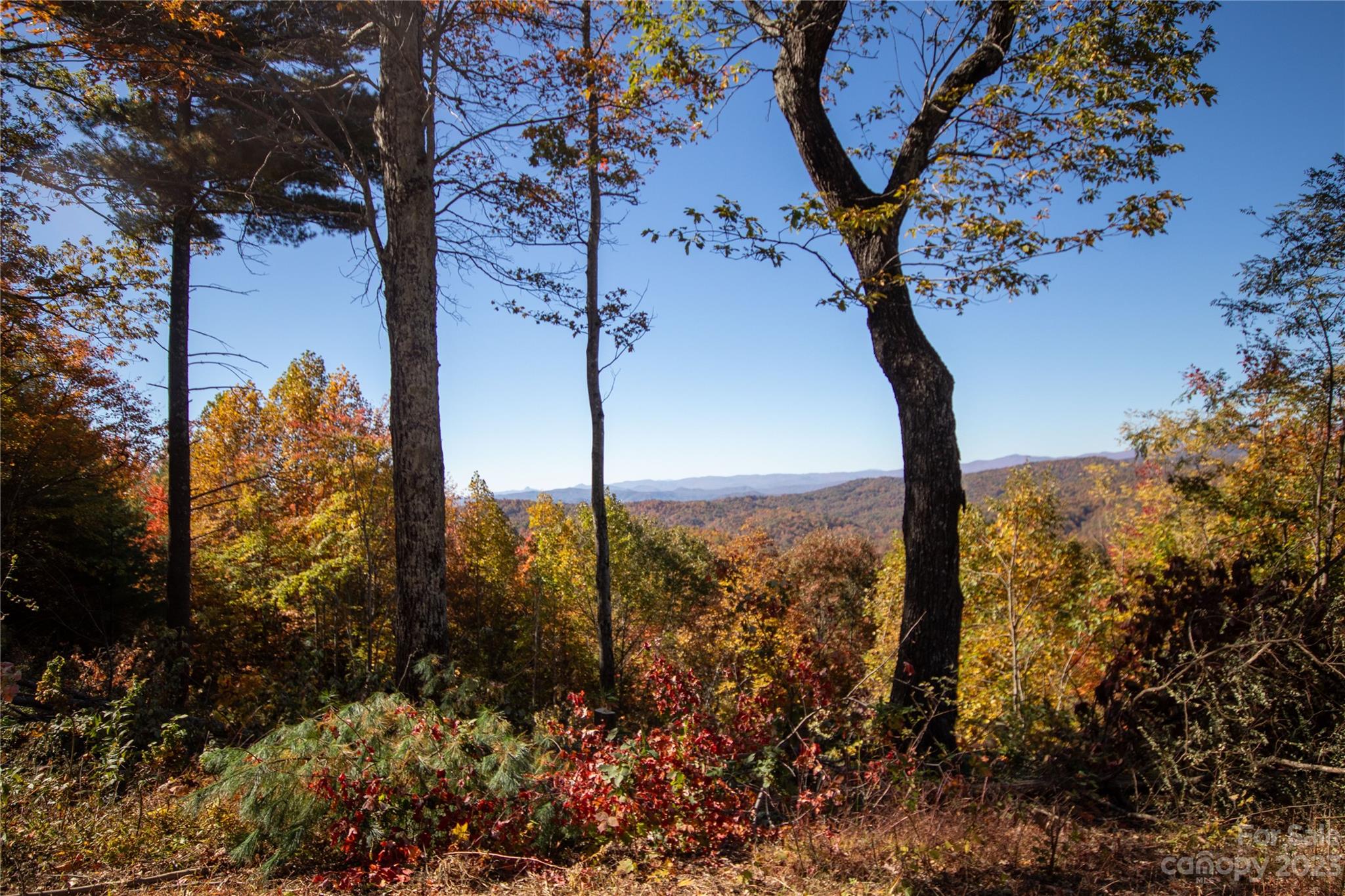 Timber Rock - Land