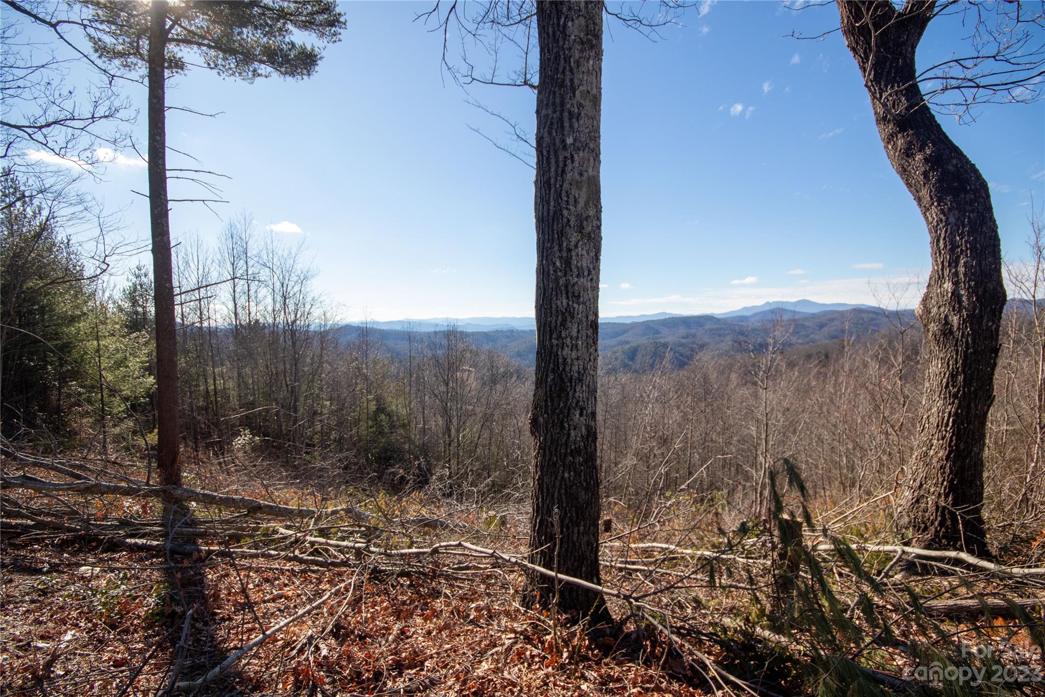 Timber Rock - Land