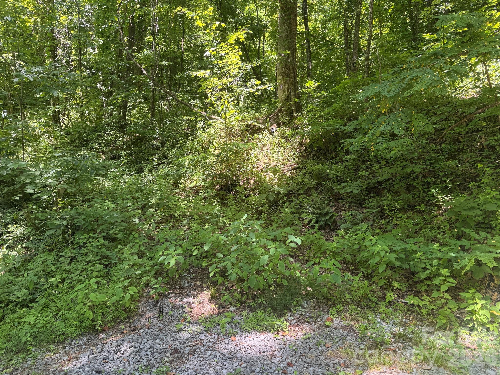 Walnut Creek Ridge - Land