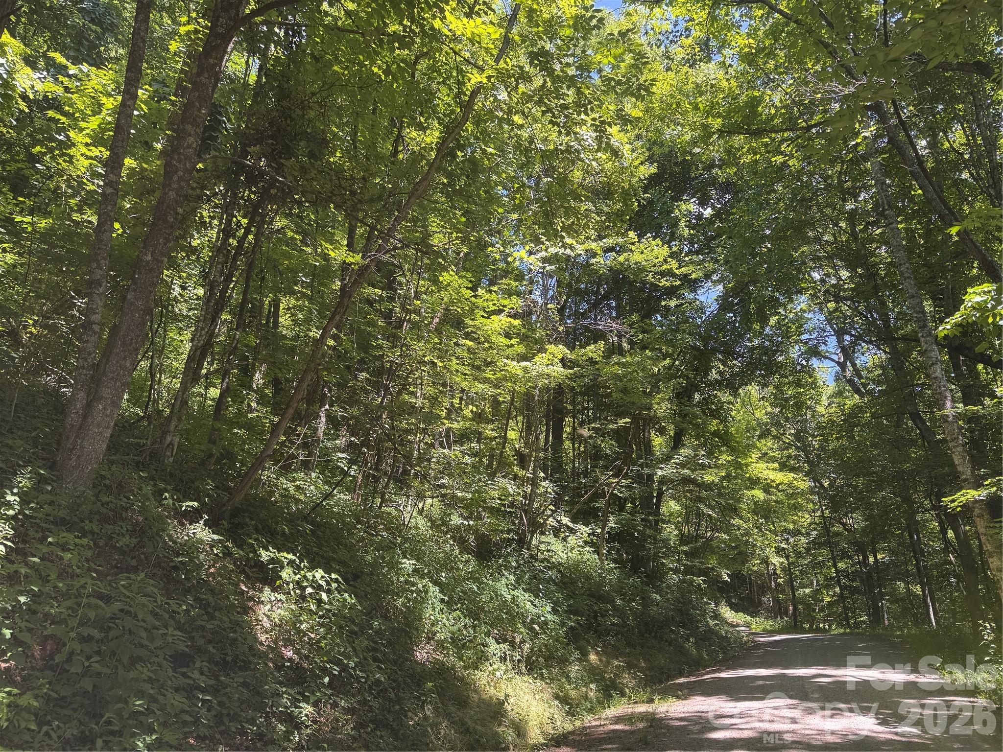 Walnut Creek Ridge - Land