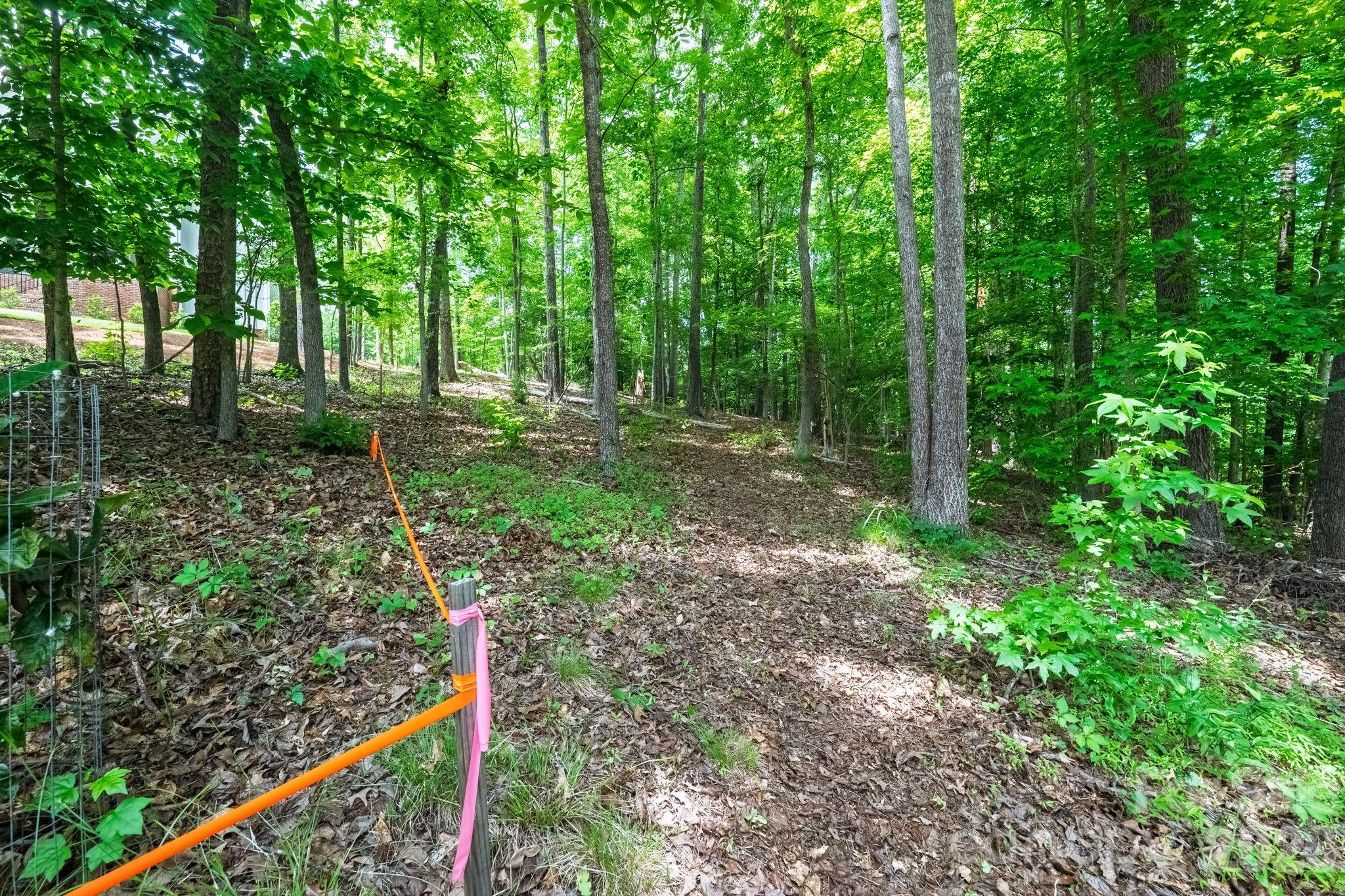 Whiteville Park - Land